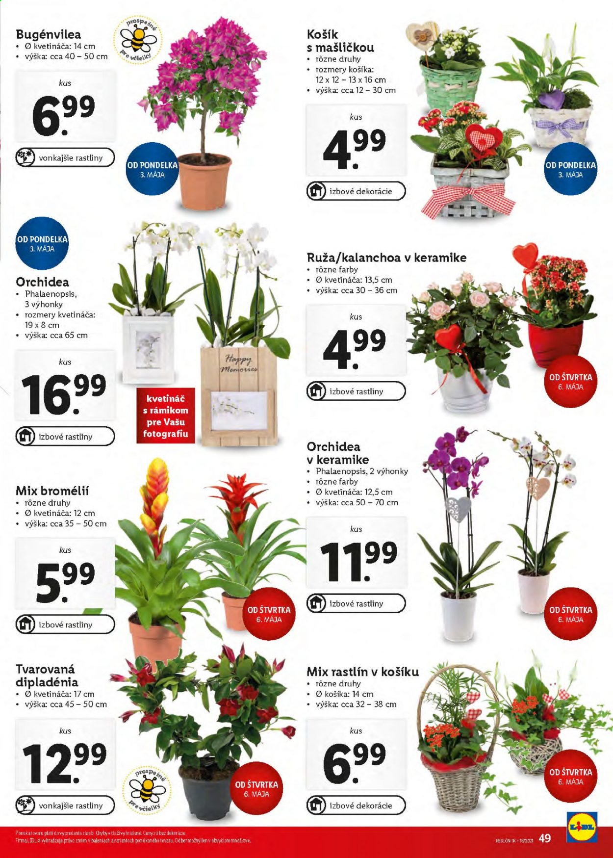 Leták Lidl - 3.5.2021 - 9.5.2021. Strana 50