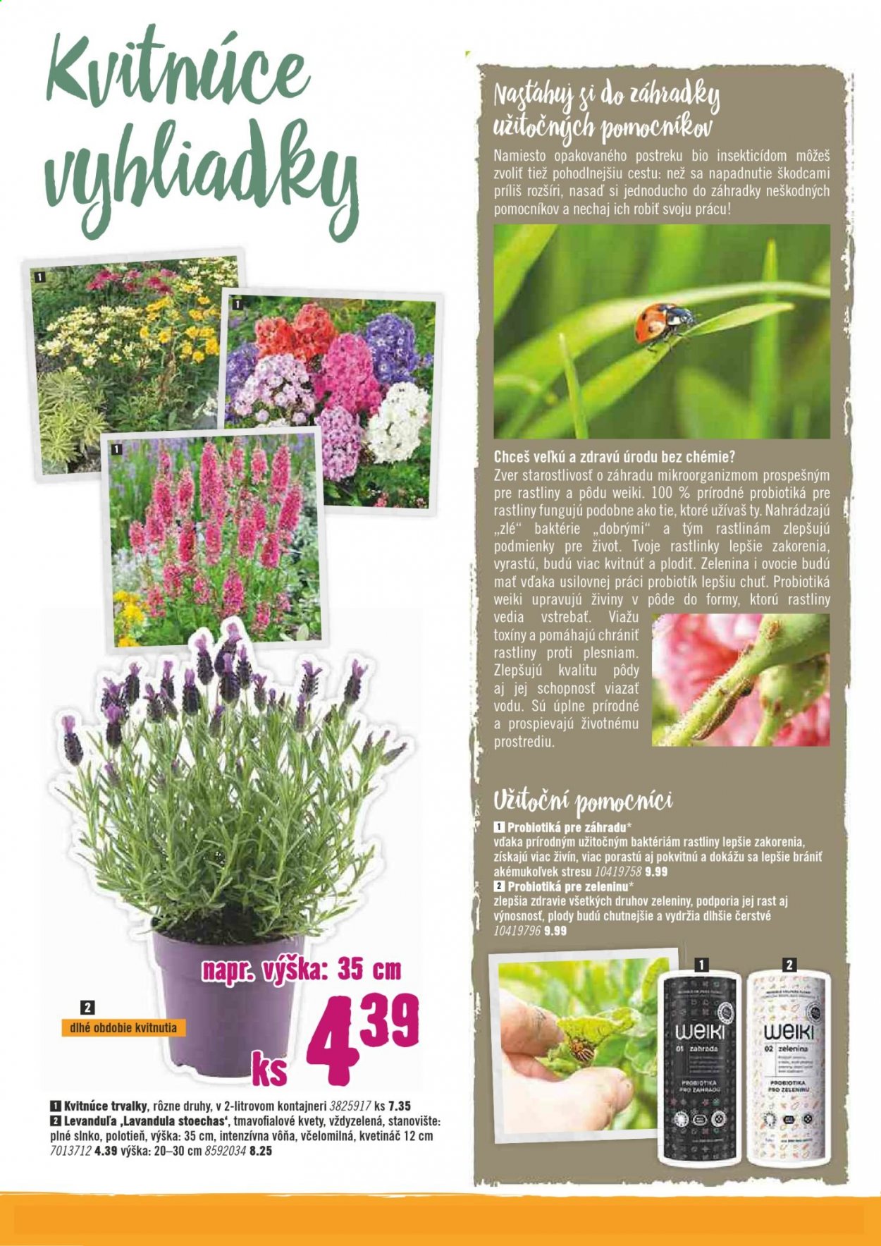 thumbnail - Leták Hornbach - 7.4.2021 - 7.5.2021 - Produkty v akcii - vôňa, kvetináč, levanduľa, trvalka. Strana 2.