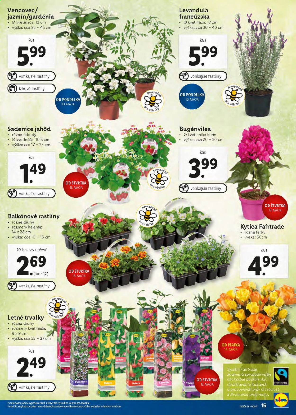 Leták Lidl - 10.5.2021 - 16.5.2021. Strana 15