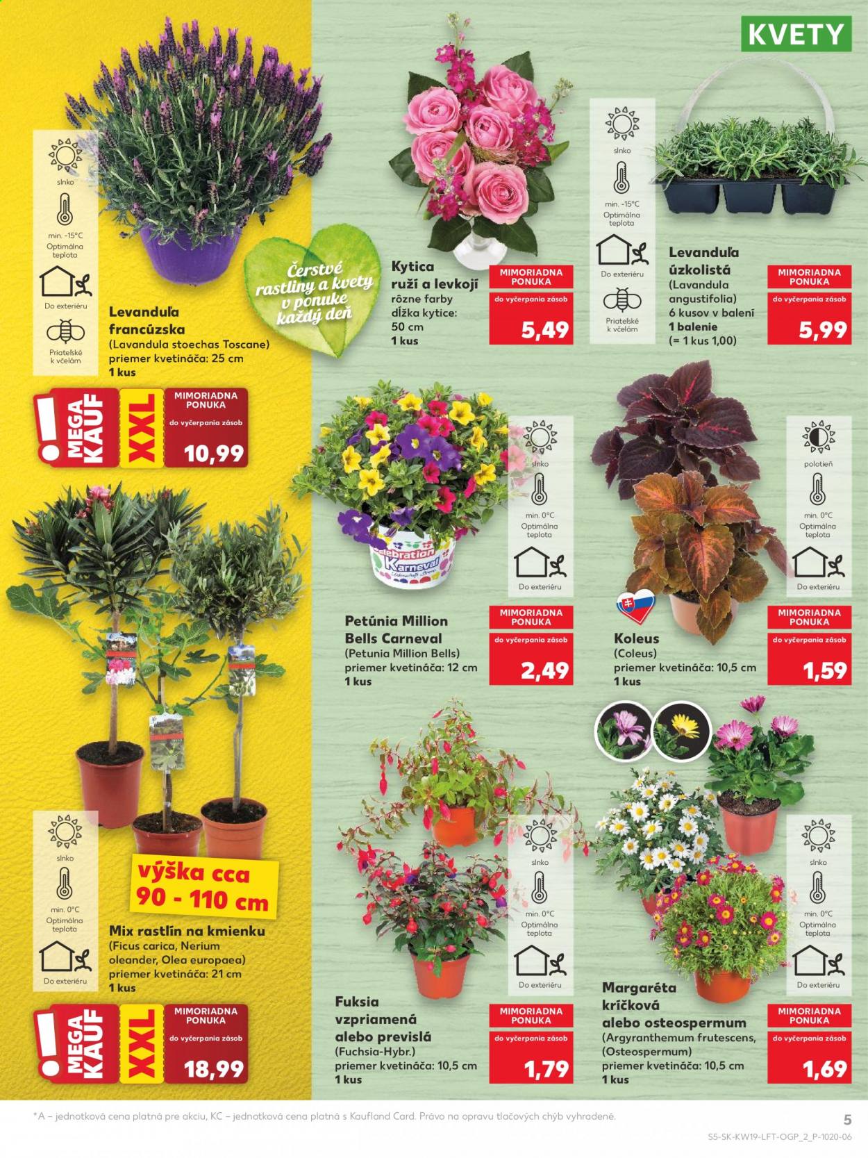 Leták Kaufland - 13.5.2021 - 19.5.2021. Strana 5