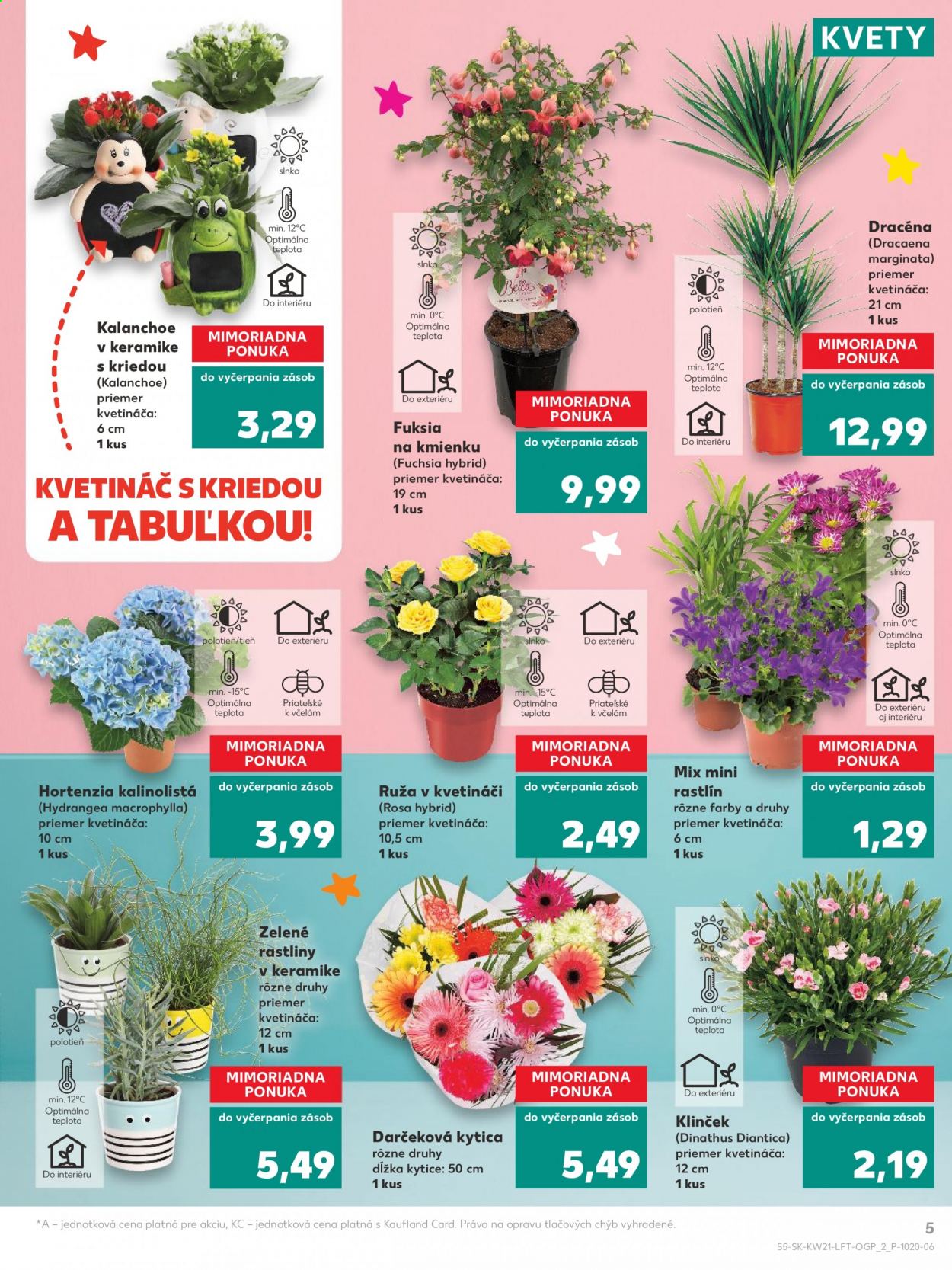 Leták Kaufland - 27.5.2021 - 2.6.2021. Strana 5