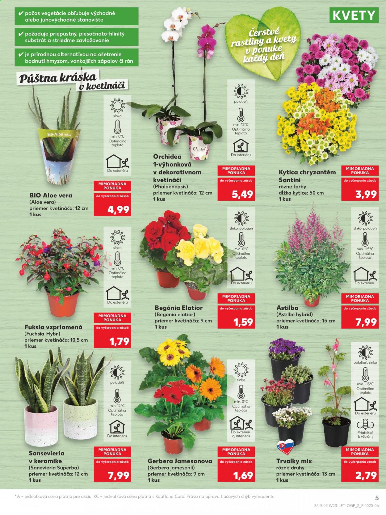 Leták Kaufland - 10.6.2021 - 16.6.2021. Strana 5