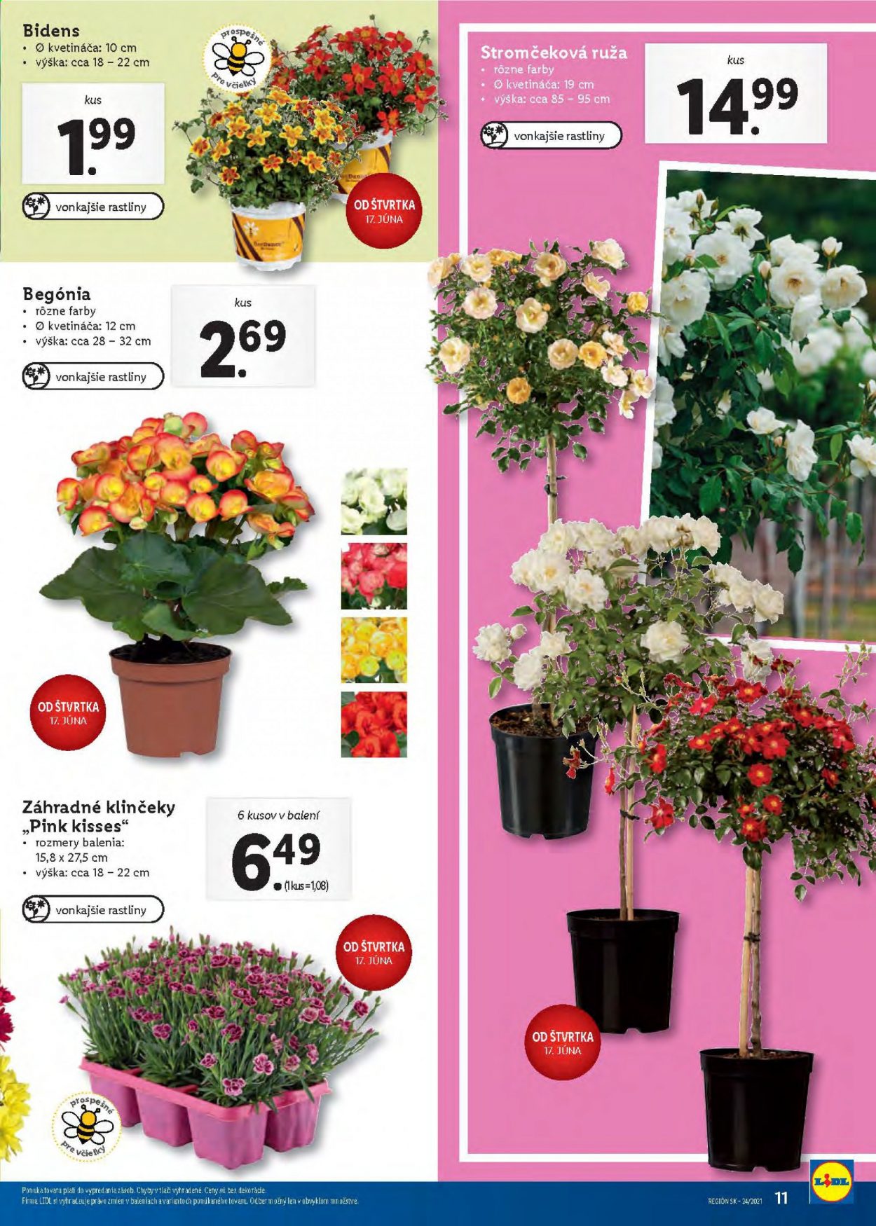Leták Lidl - 14.6.2021 - 20.6.2021. Strana 11