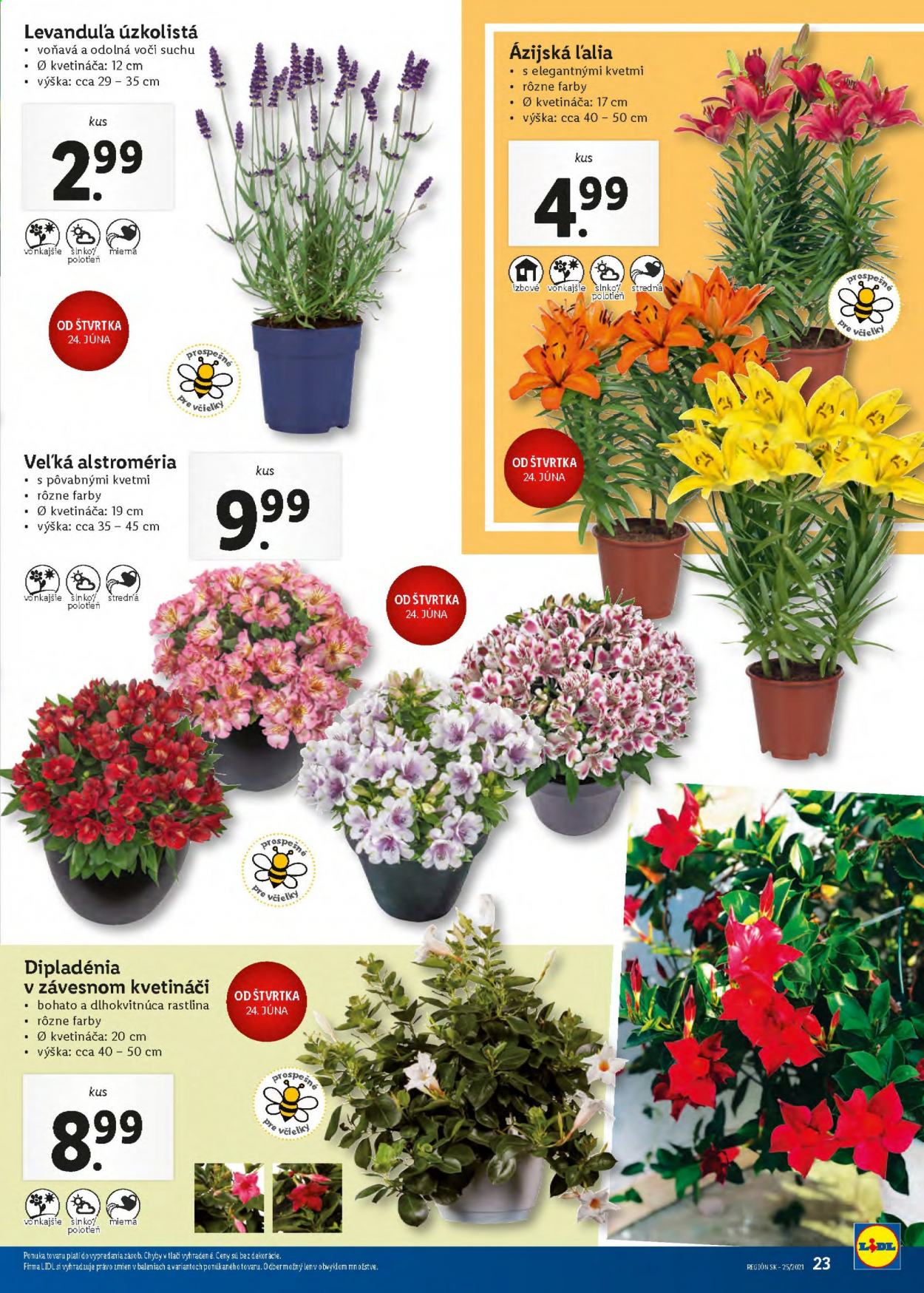 Leták Lidl - 21.6.2021 - 27.6.2021. Strana 23