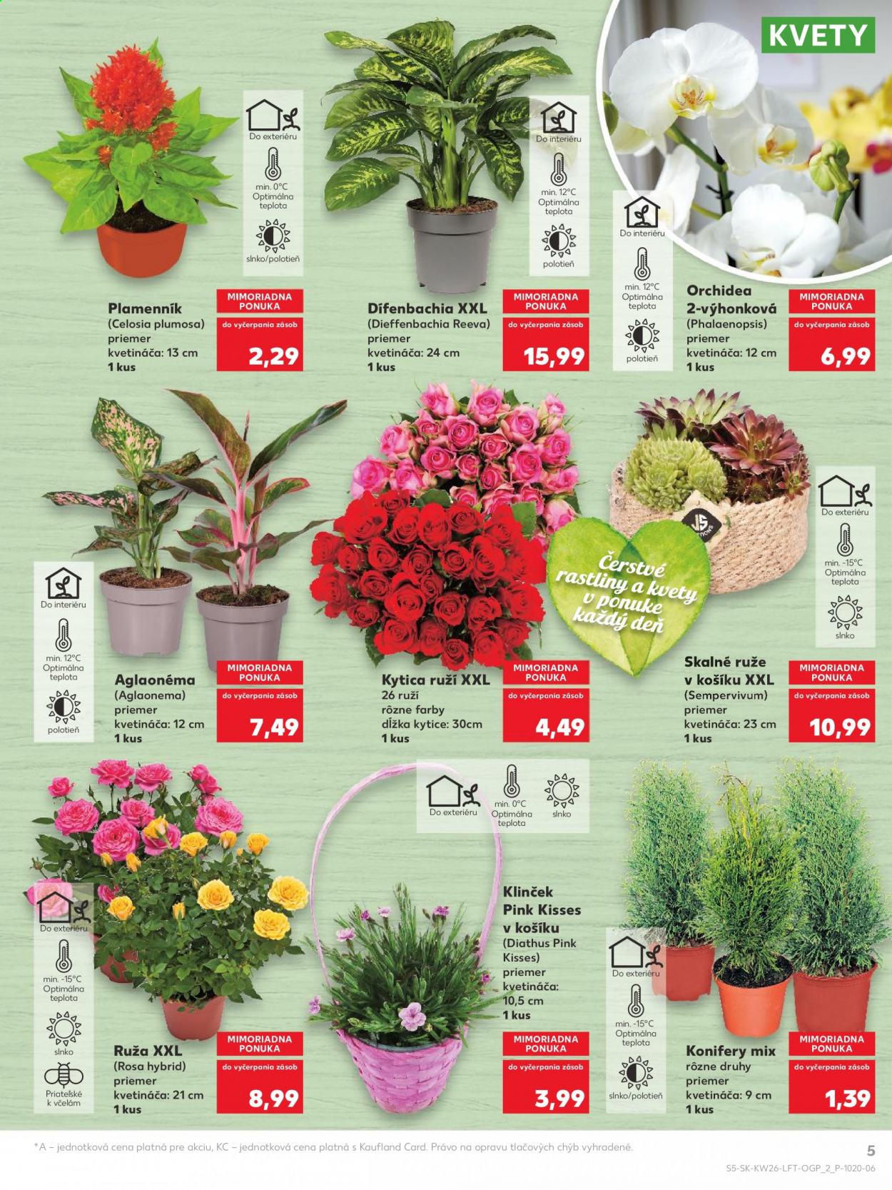 Leták Kaufland - 1.7.2021 - 7.7.2021. Strana 5