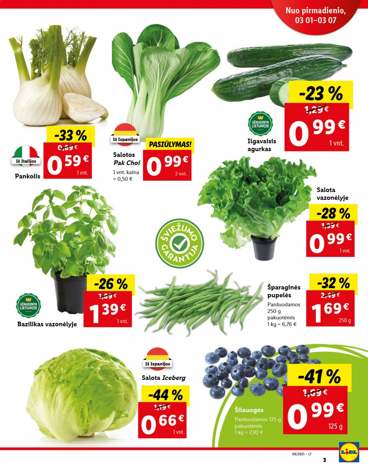 thumbnail - „Lidl“ leidinys - 2021 03 01 - 2021 03 07 - Išpardavimų produktai - agurkas, salotos, pankolis, šilauogės, bazilikas. 3 puslapis.
