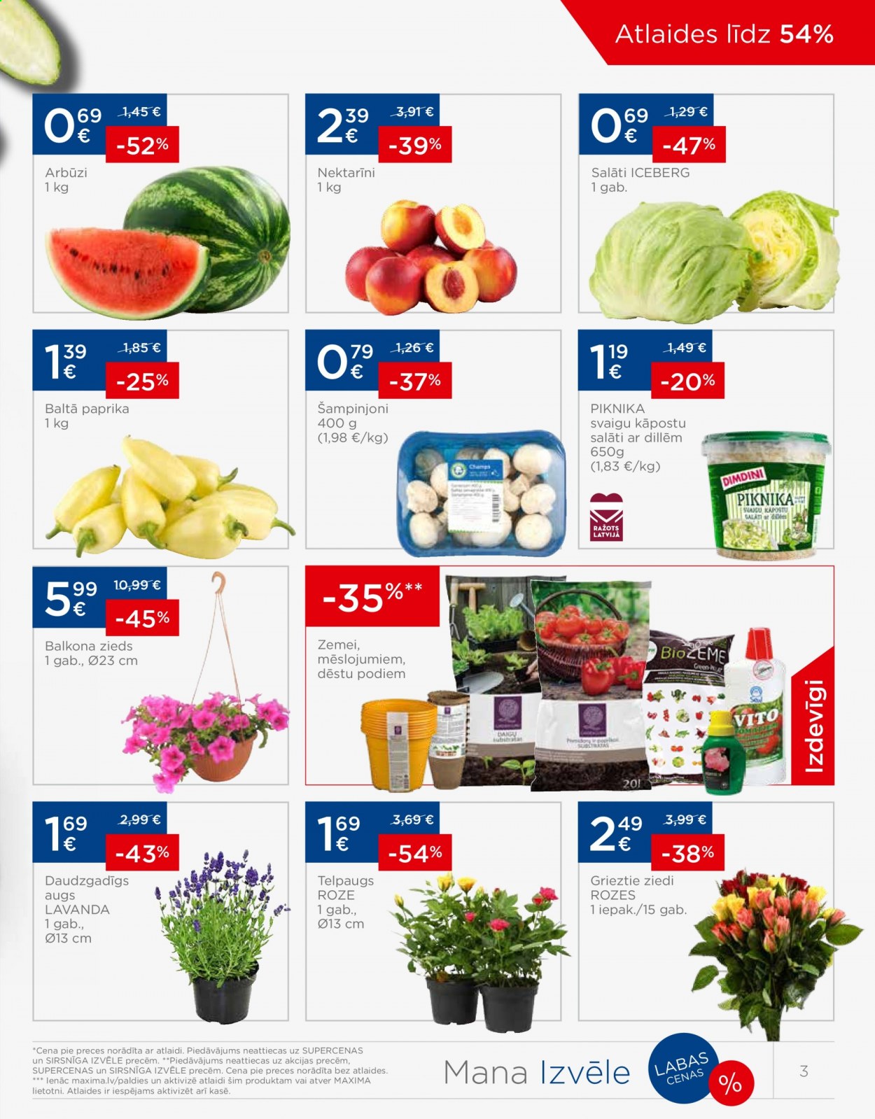 thumbnail - Maxima buklets - 08.06.2021. - 14.06.2021. - Akcijas preces - paprika baltā, paprika, nektarīni, arbūzi, šampinjoni, salāti, zieds, grieztie ziedi, ziedi, augs, balkona zieds. 3. lapa.
