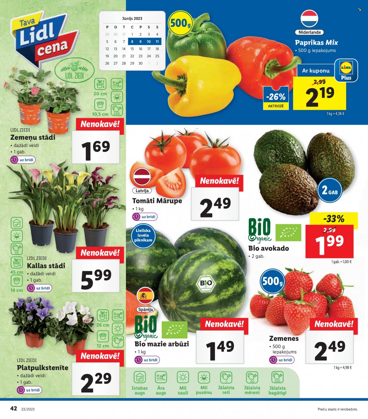 thumbnail - Lidl buklets - 05.06.2023. - 11.06.2023. - Akcijas preces - tomāti, avokado, zemenes, arbūzi, ziedi, augs, āra augs. 42. lapa.