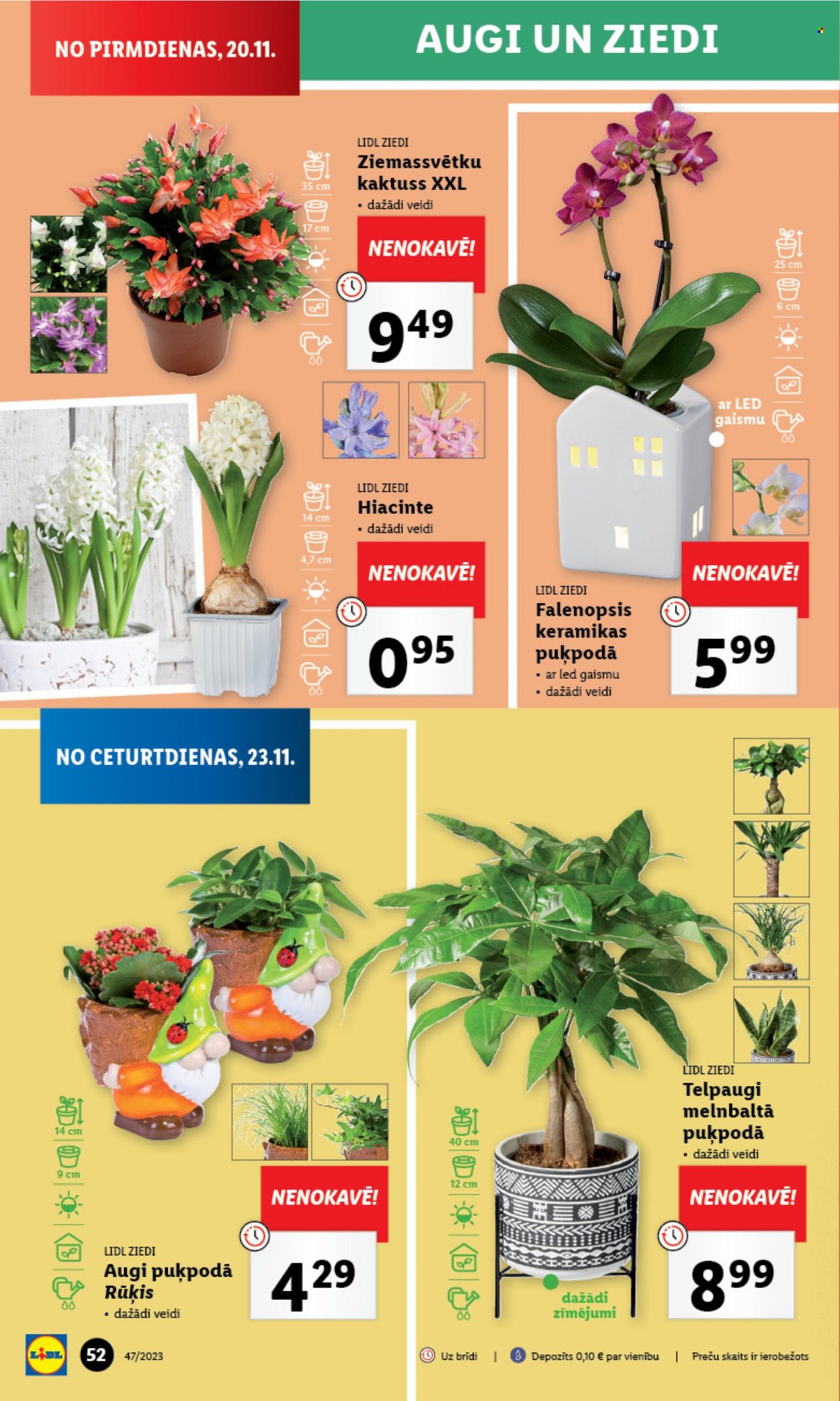 thumbnail - Lidl buklets - 20.11.2023. - 26.11.2023..