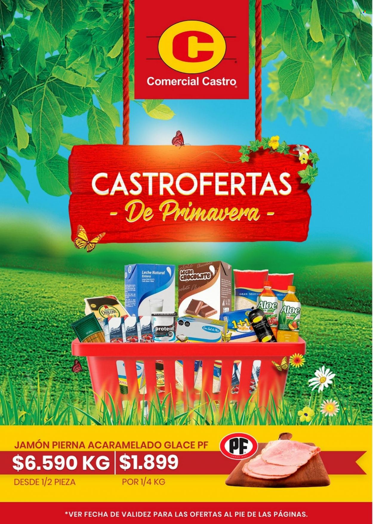 thumbnail - Catálogo Comercial Castro - Ventas - jamón, leche. Página 1.
