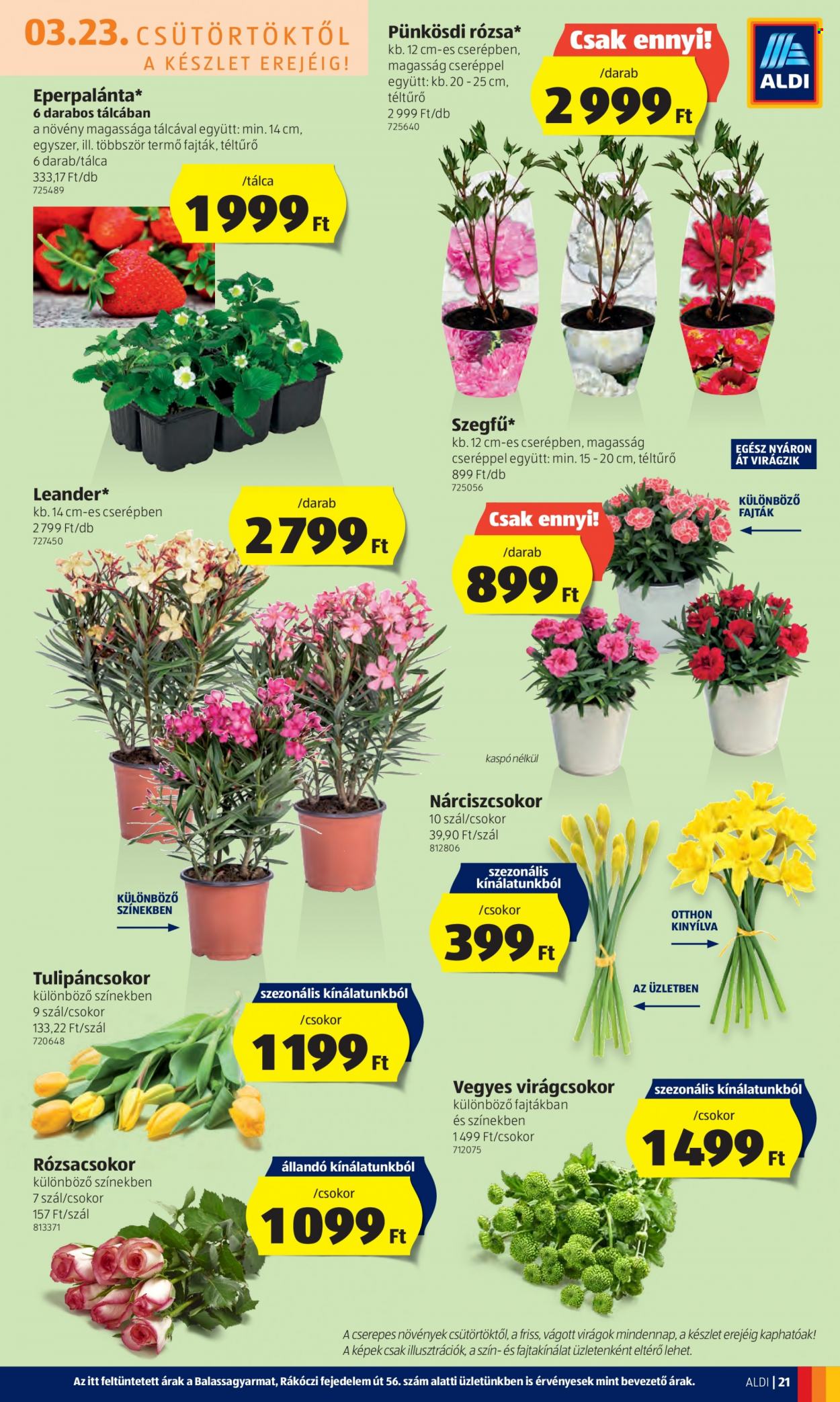 Aldi akciós újságok - 2023.03.23 - 2023.03.29. Oldal 23
