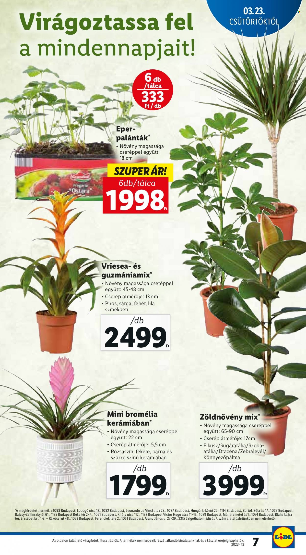 Lidl akciós újságok - 2023.03.23 - 2023.03.29. Oldal 7
