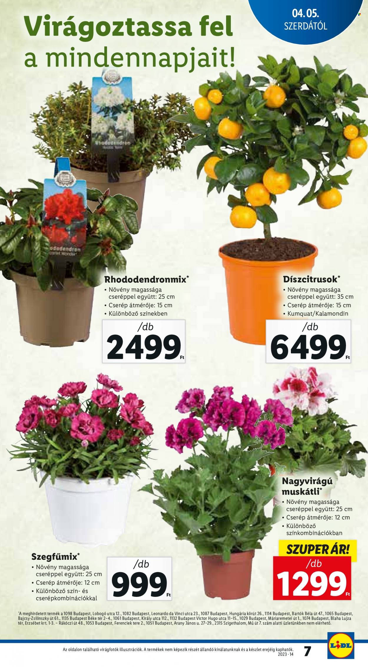 Lidl akciós újságok - 2023.04.05 - 2023.04.11. Oldal 7