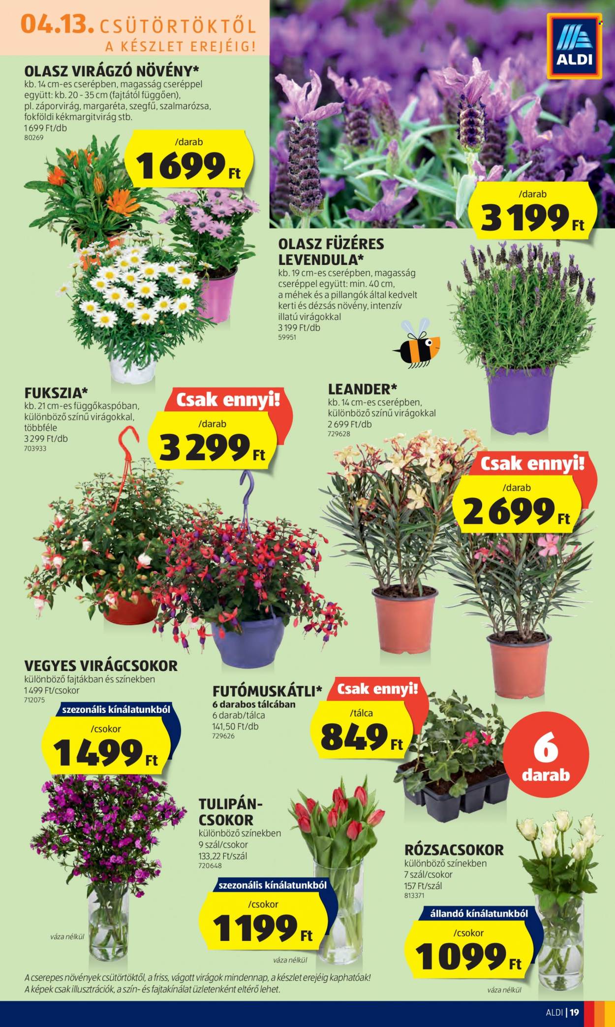 Aldi akciós újságok - 2023.04.13 - 2023.04.19. Oldal 21