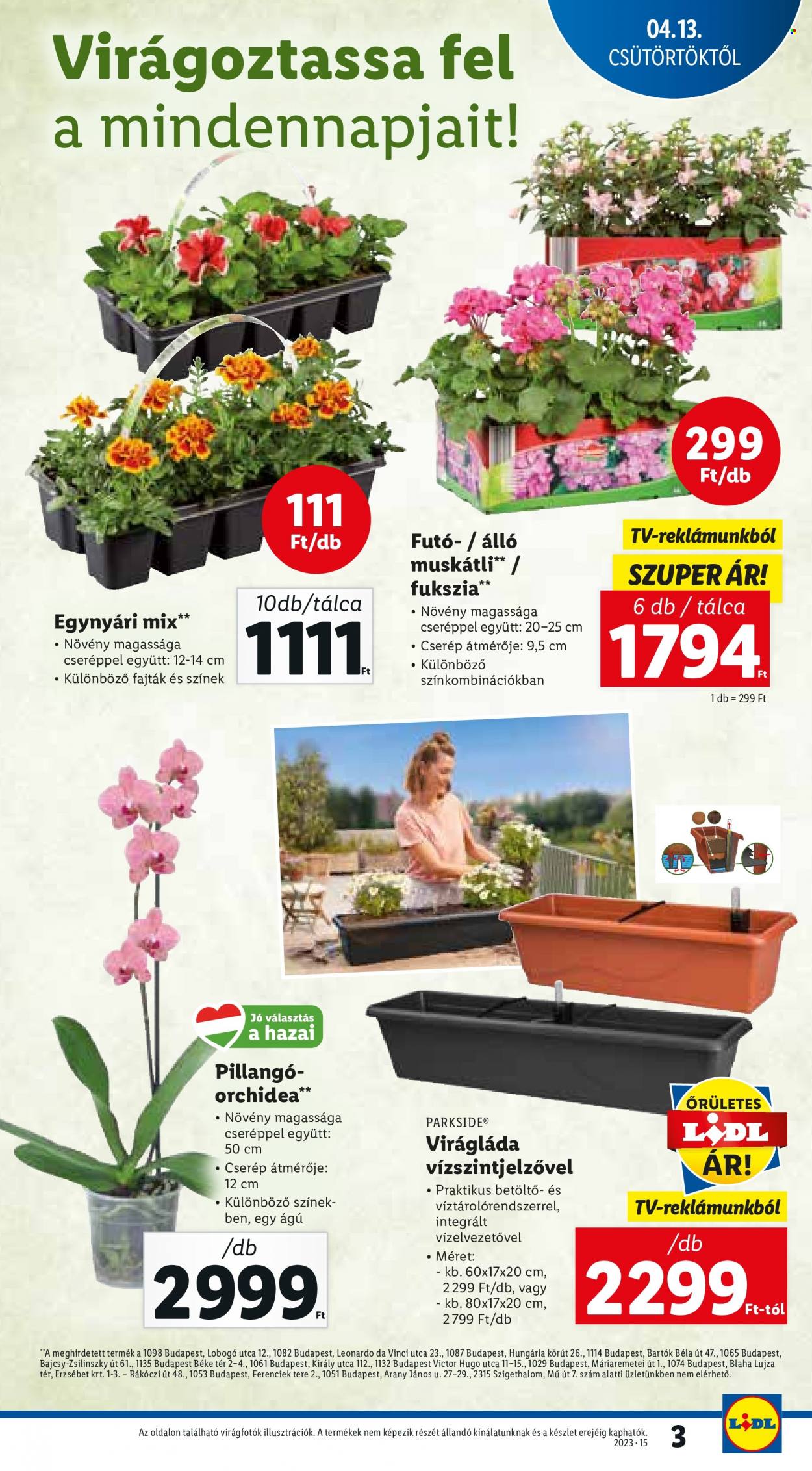 Lidl akciós újságok - 2023.04.13 - 2023.04.19. Oldal 3