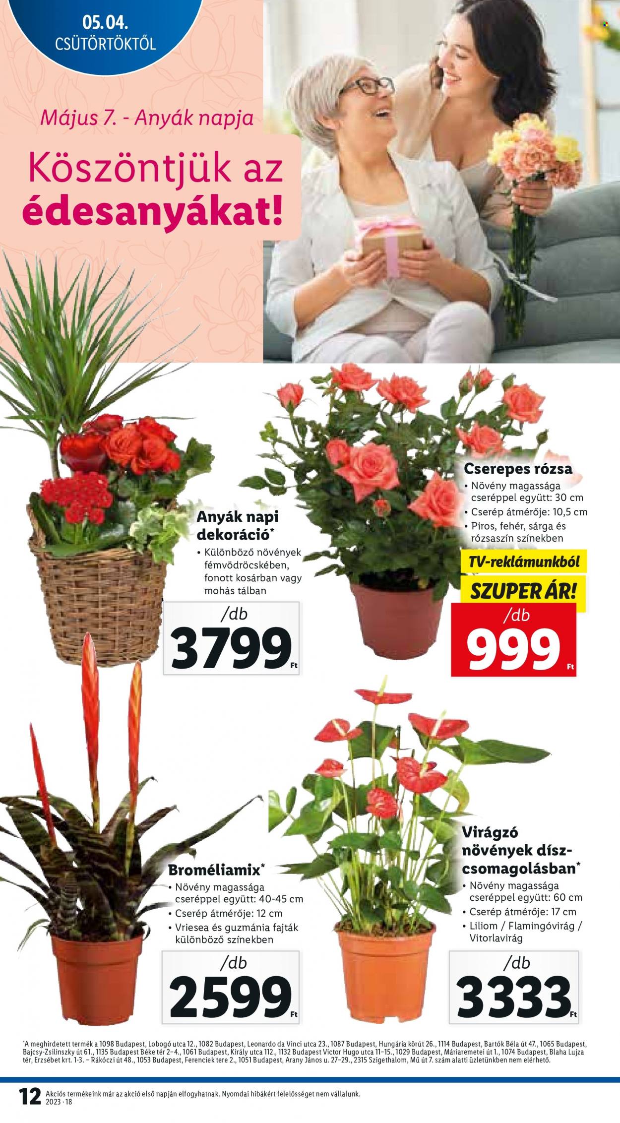 Lidl akciós újságok - 2023.05.04 - 2023.05.10. Oldal 12