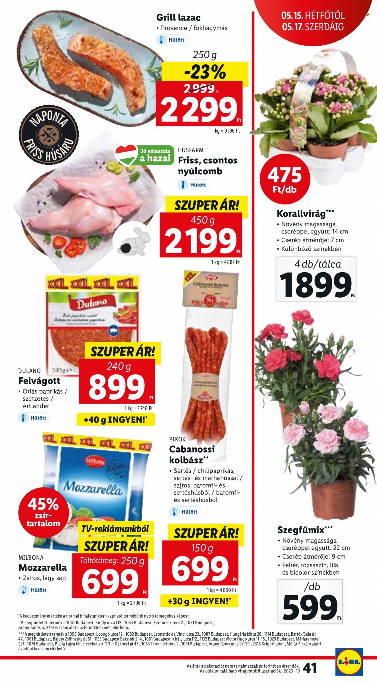 Lidl akciós újságok - 2023.05.11 - 2023.05.17. Oldal 41