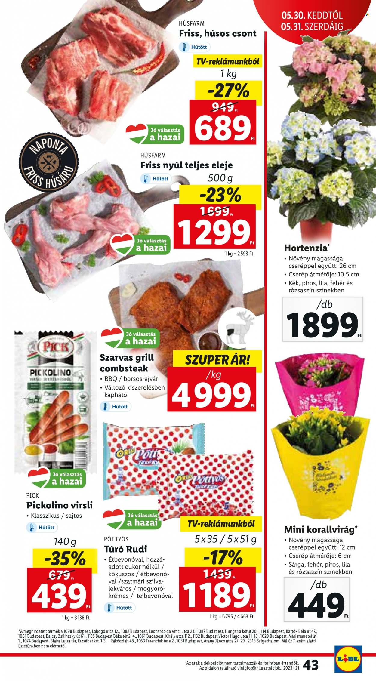 Lidl akciós újságok - 2023.05.25 - 2023.05.31. Oldal 43