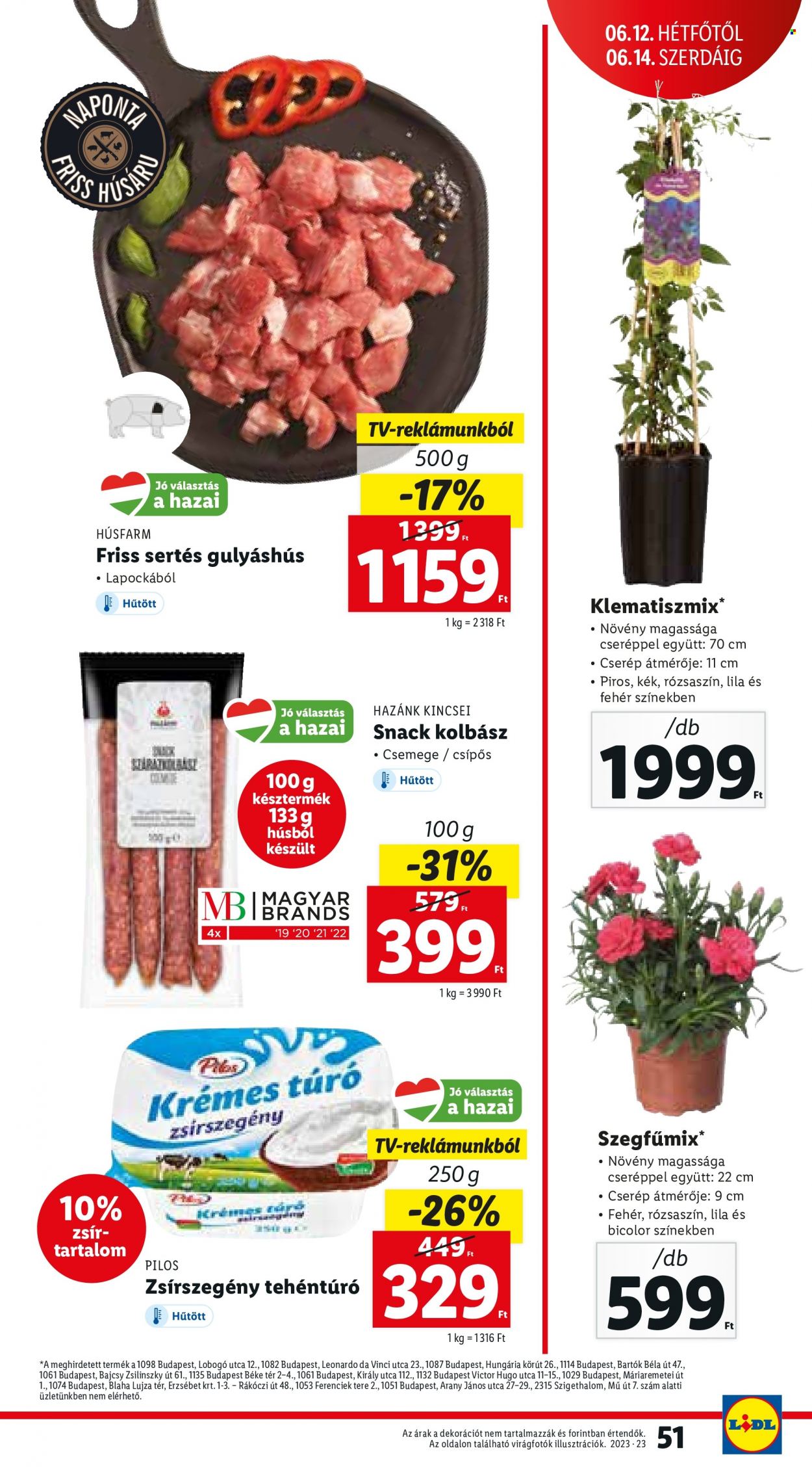 Lidl akciós újságok - 2023.06.08 - 2023.06.14. Oldal 51