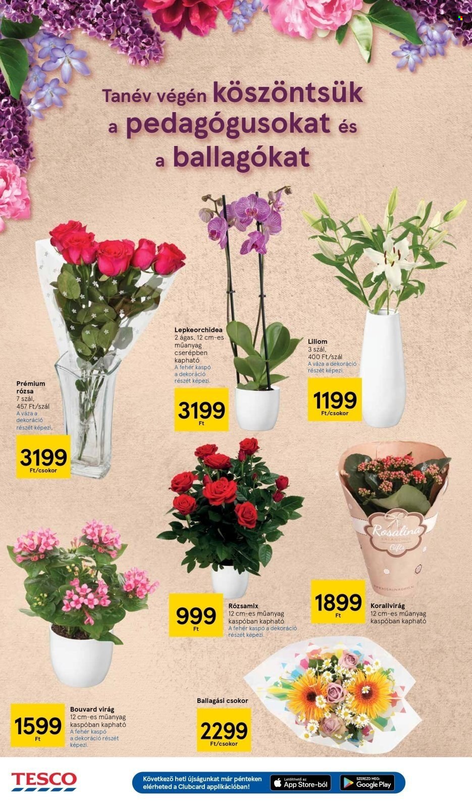 TESCO akciós újságok - 2023.06.15 - 2023.06.21. Oldal 14