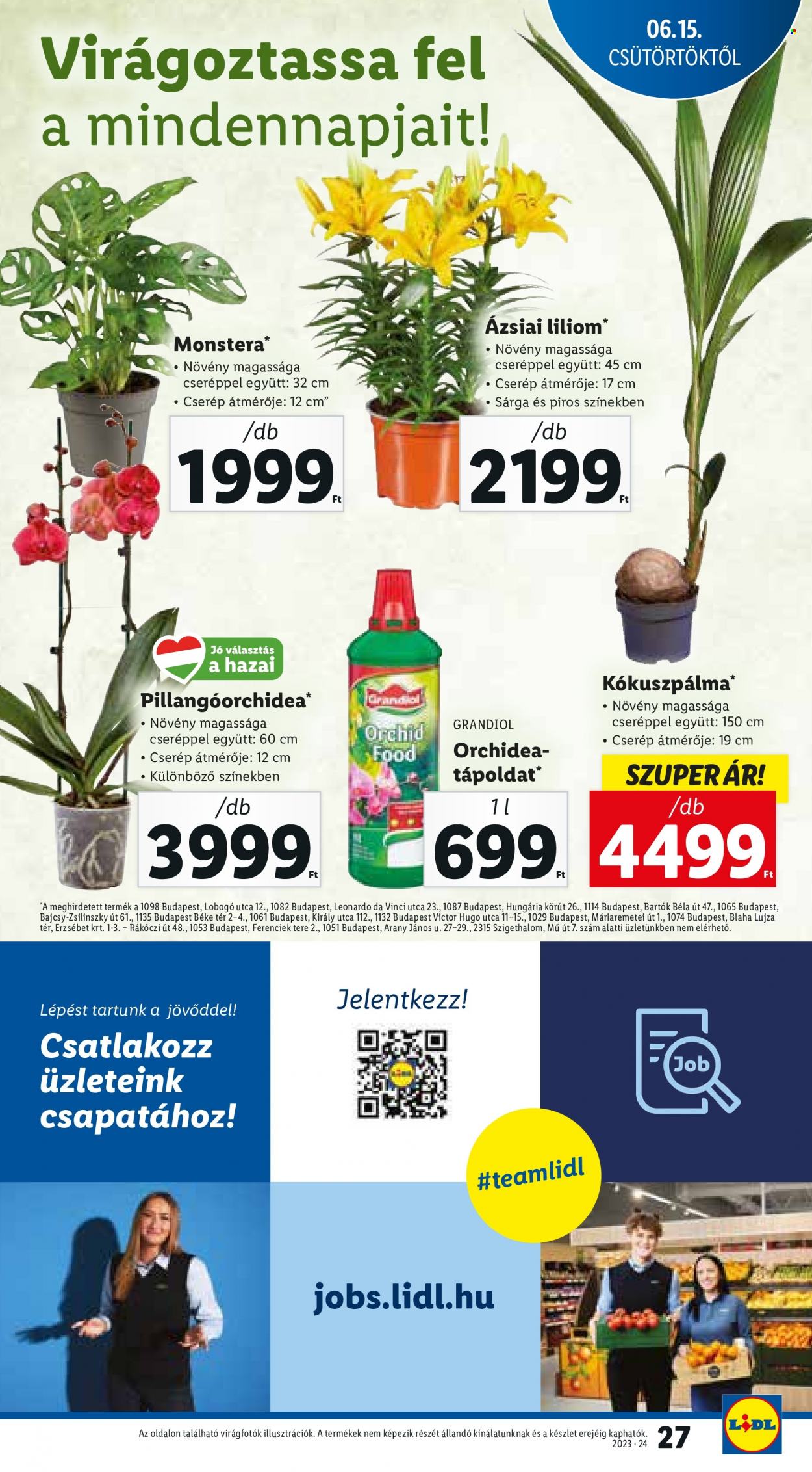 Lidl akciós újságok - 2023.06.15 - 2023.06.21. Oldal 27