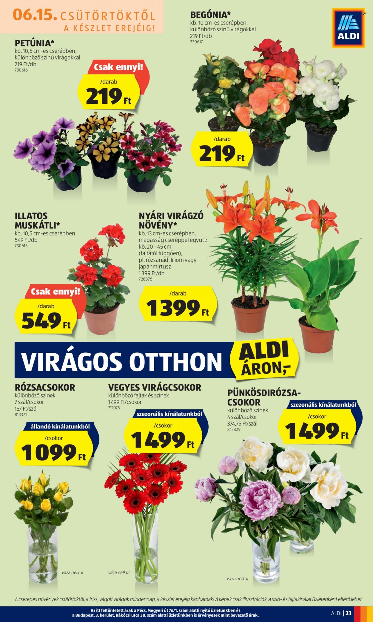 Aldi akciós újságok - 2023.06.15 - 2023.06.21. Oldal 27