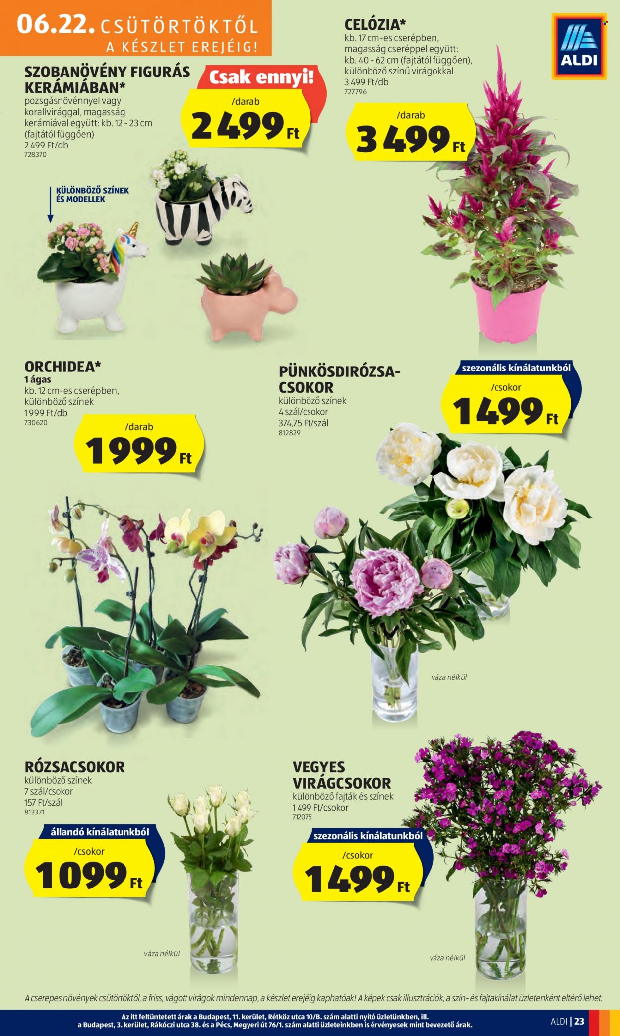 Aldi akciós újságok - 2023.06.22 - 2023.06.28. Oldal 27