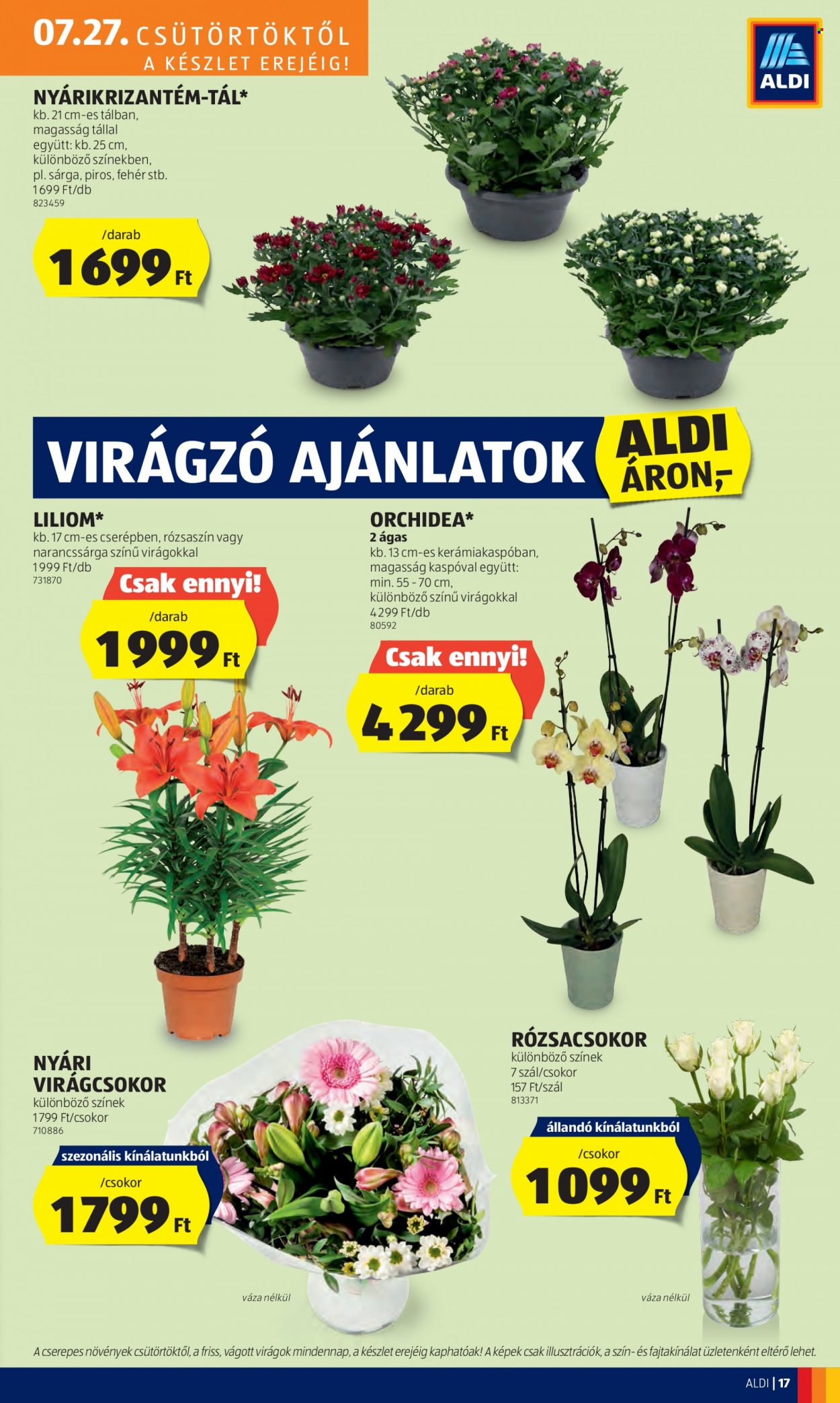 Aldi akciós újságok - 2023.07.27 - 2023.08.02. Oldal 19