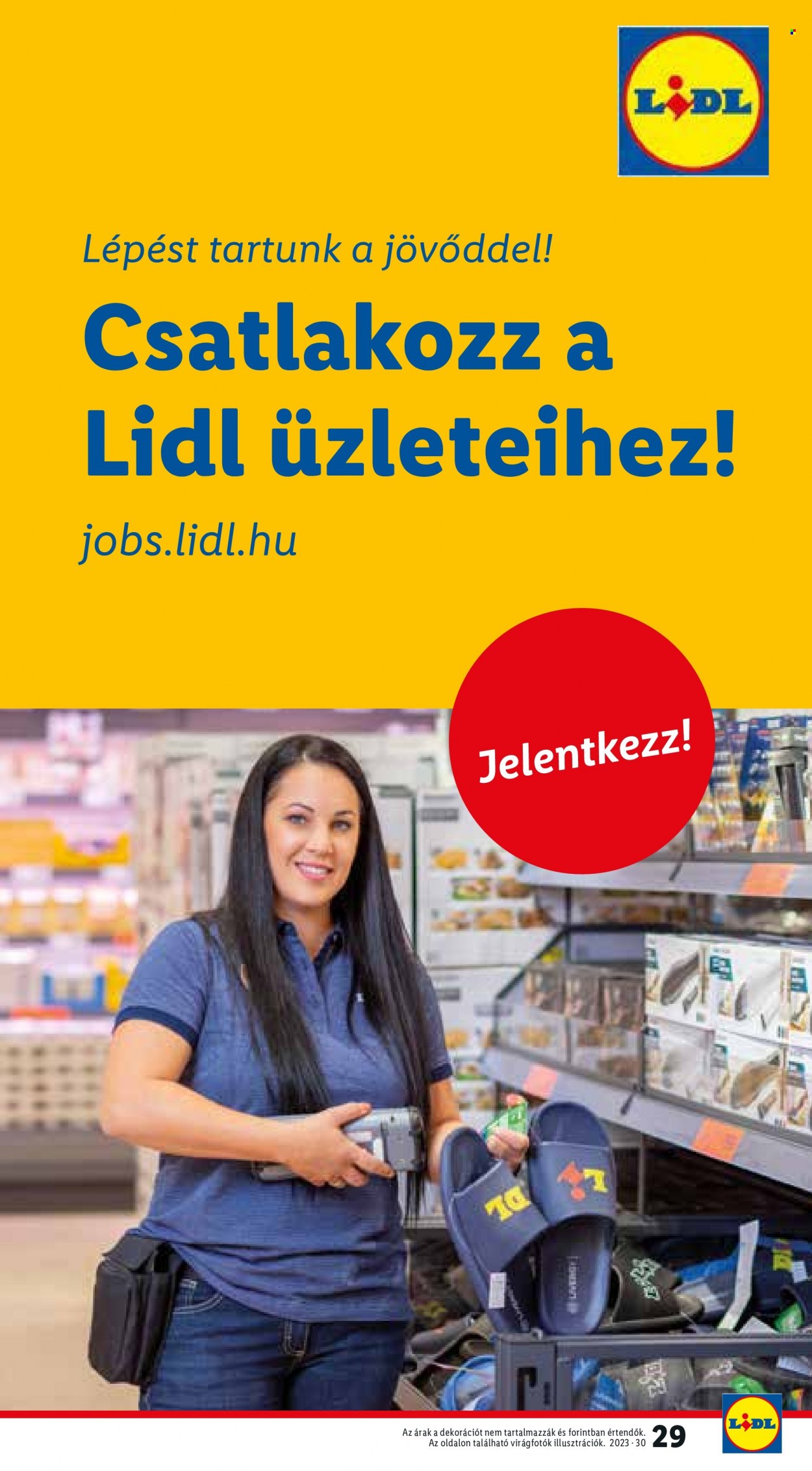 Lidl akciós újságok - 2023.07.27 - 2023.08.02. Oldal 31