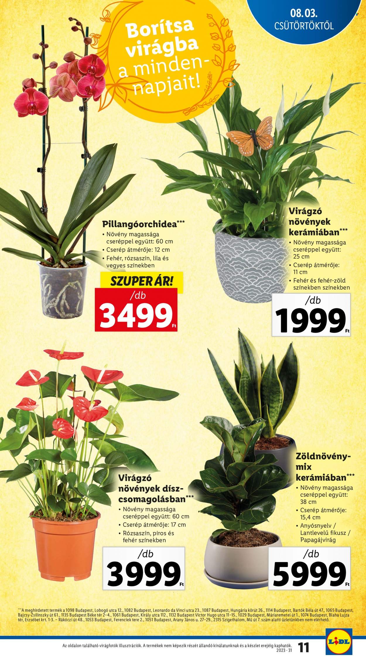 Lidl akciós újságok - 2023.08.03 - 2023.08.09. Oldal 11