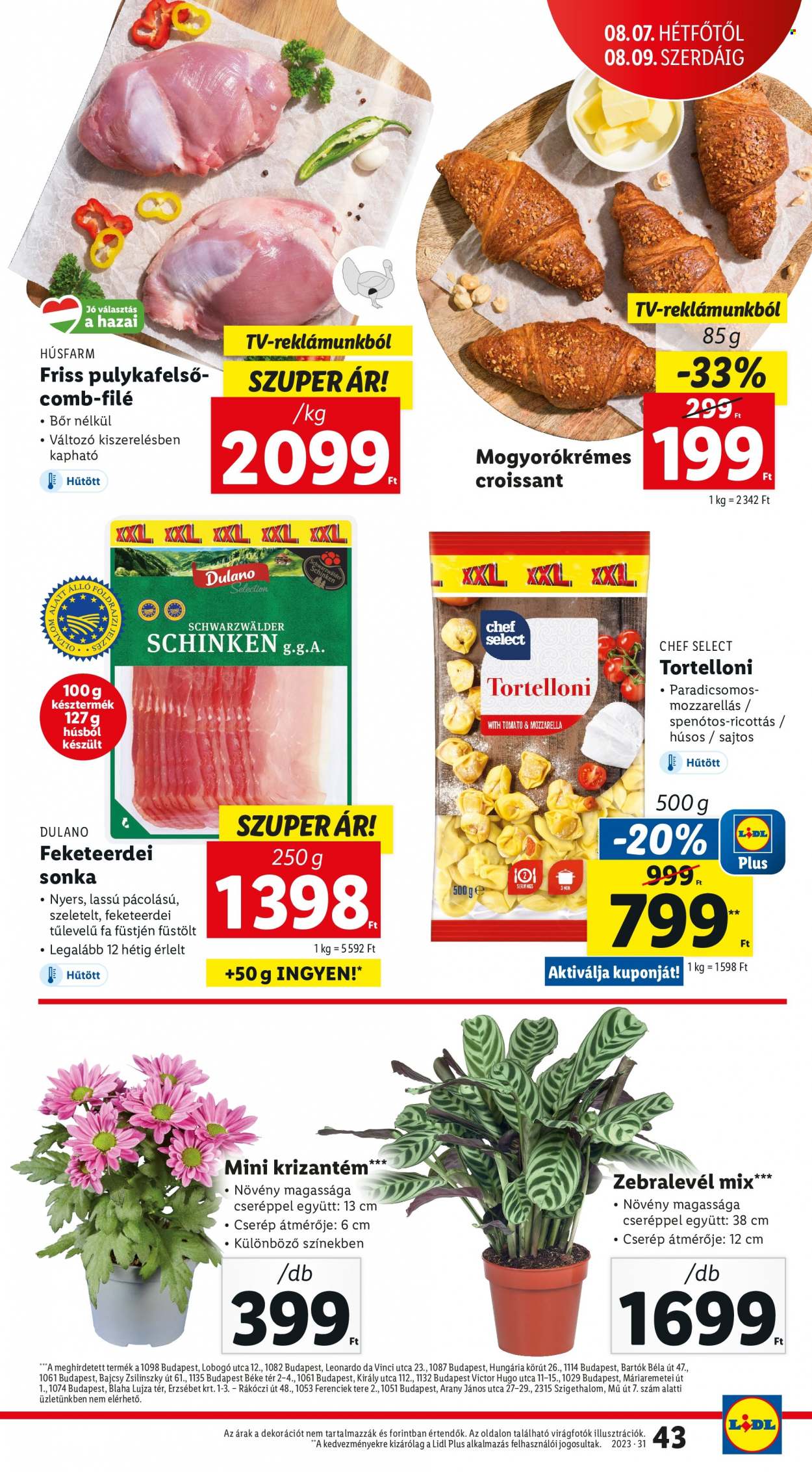 Lidl akciós újságok - 2023.08.03 - 2023.08.09. Oldal 43