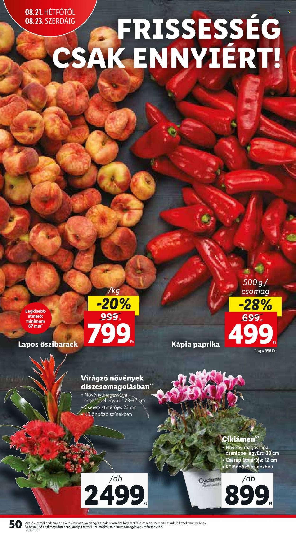 Lidl akciós újságok - 2023.08.17 - 2023.08.23. Oldal 50
