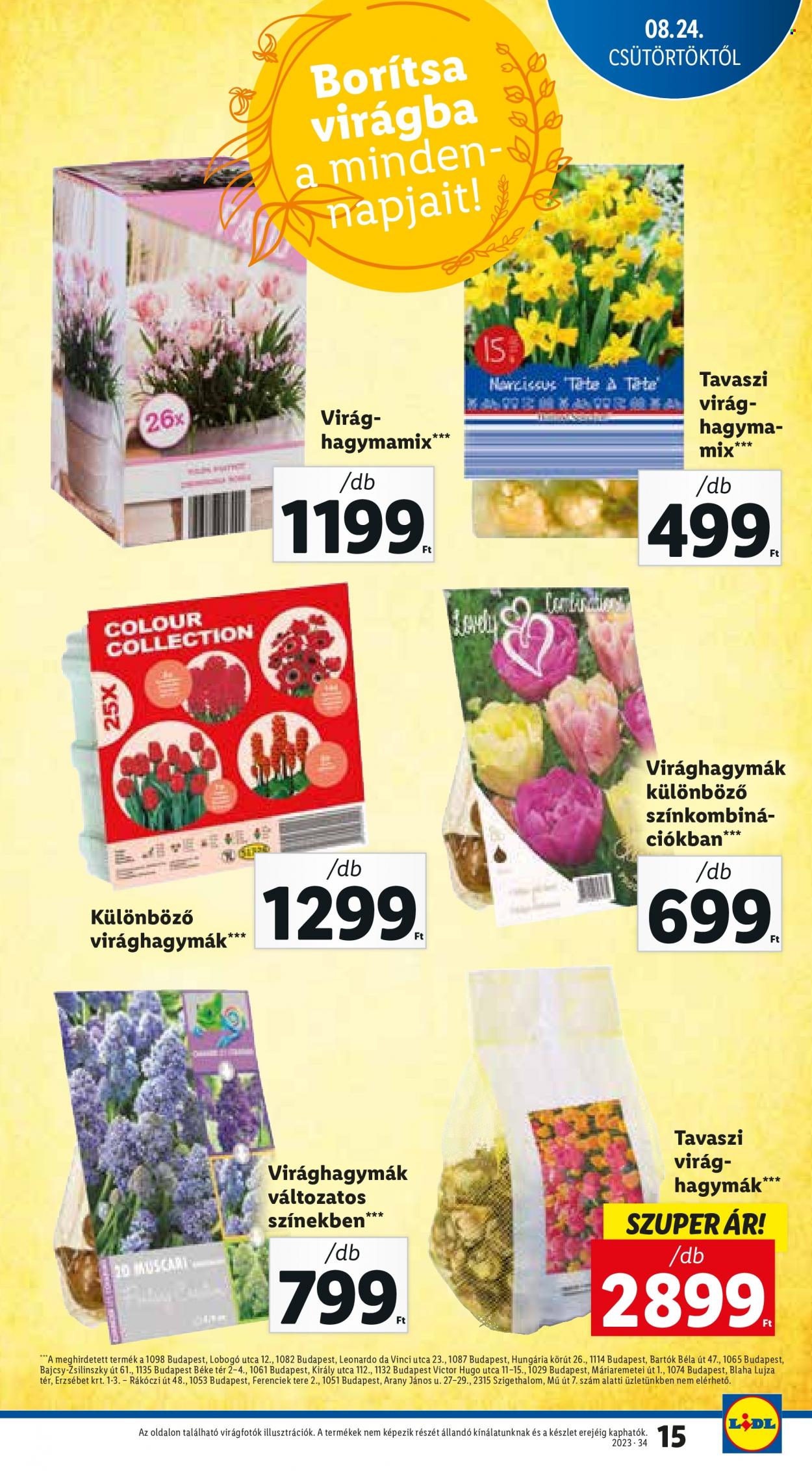 Lidl akciós újságok - 2023.08.24 - 2023.08.30. Oldal 15