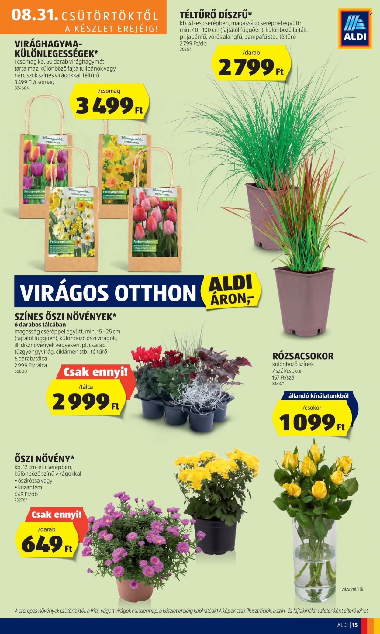 Aldi akciós újságok - 2023.08.31 - 2023.09.06. Oldal 17