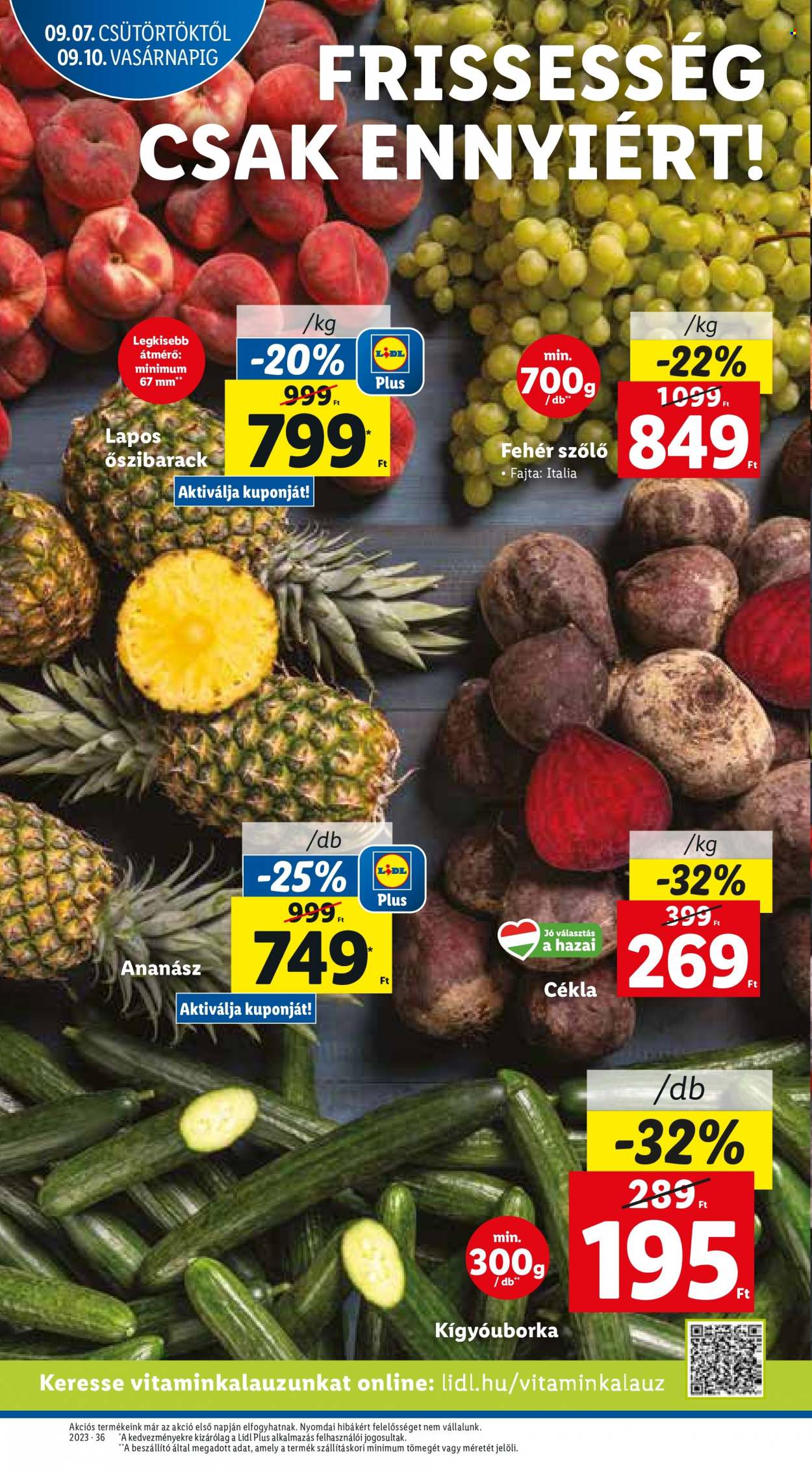 Lidl akciós újságok - 2023.09.07 - 2023.09.13. Oldal 13