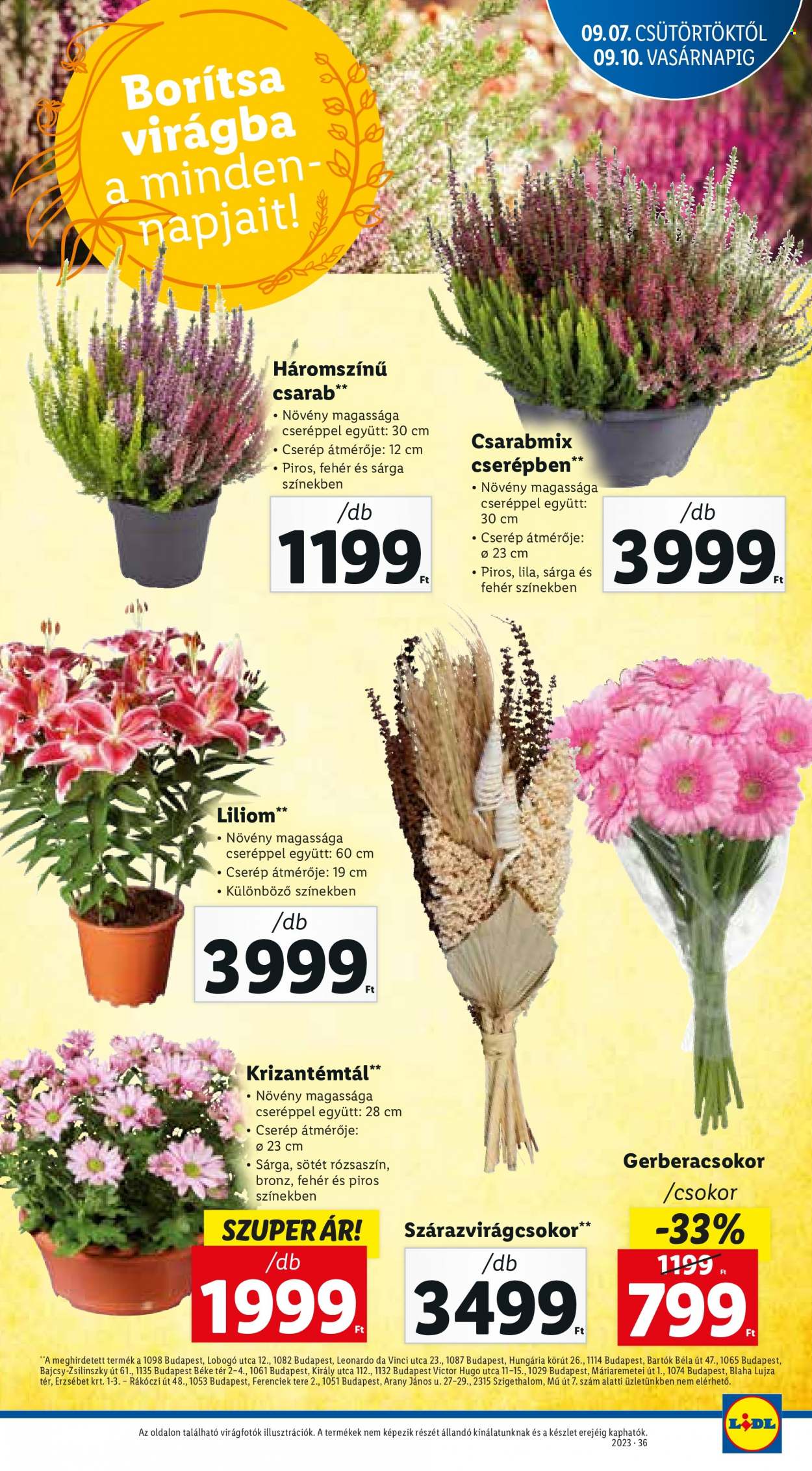 Lidl akciós újságok - 2023.09.07 - 2023.09.13. Oldal 24