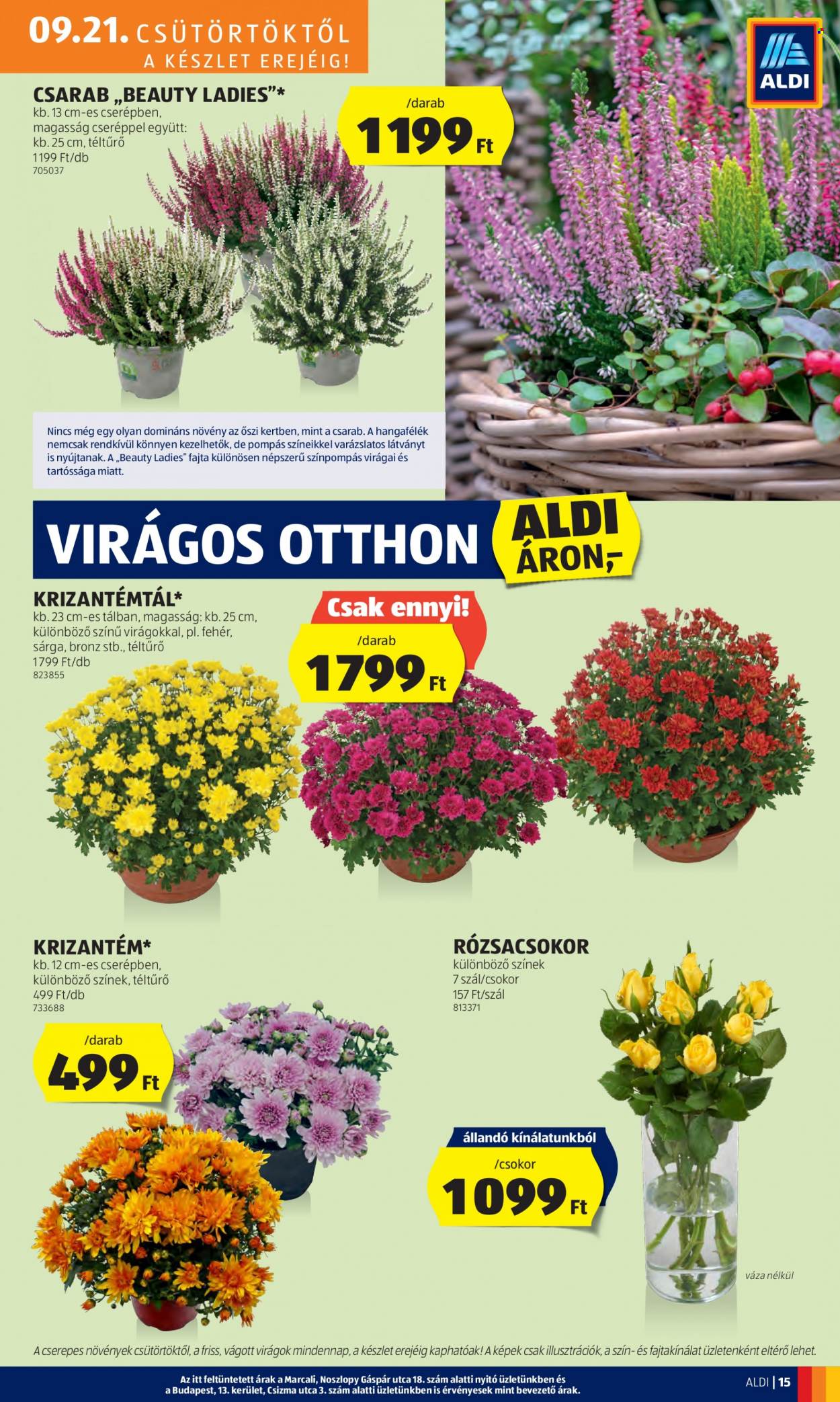Aldi akciós újságok - 2023.09.21 - 2023.09.27. Oldal 17