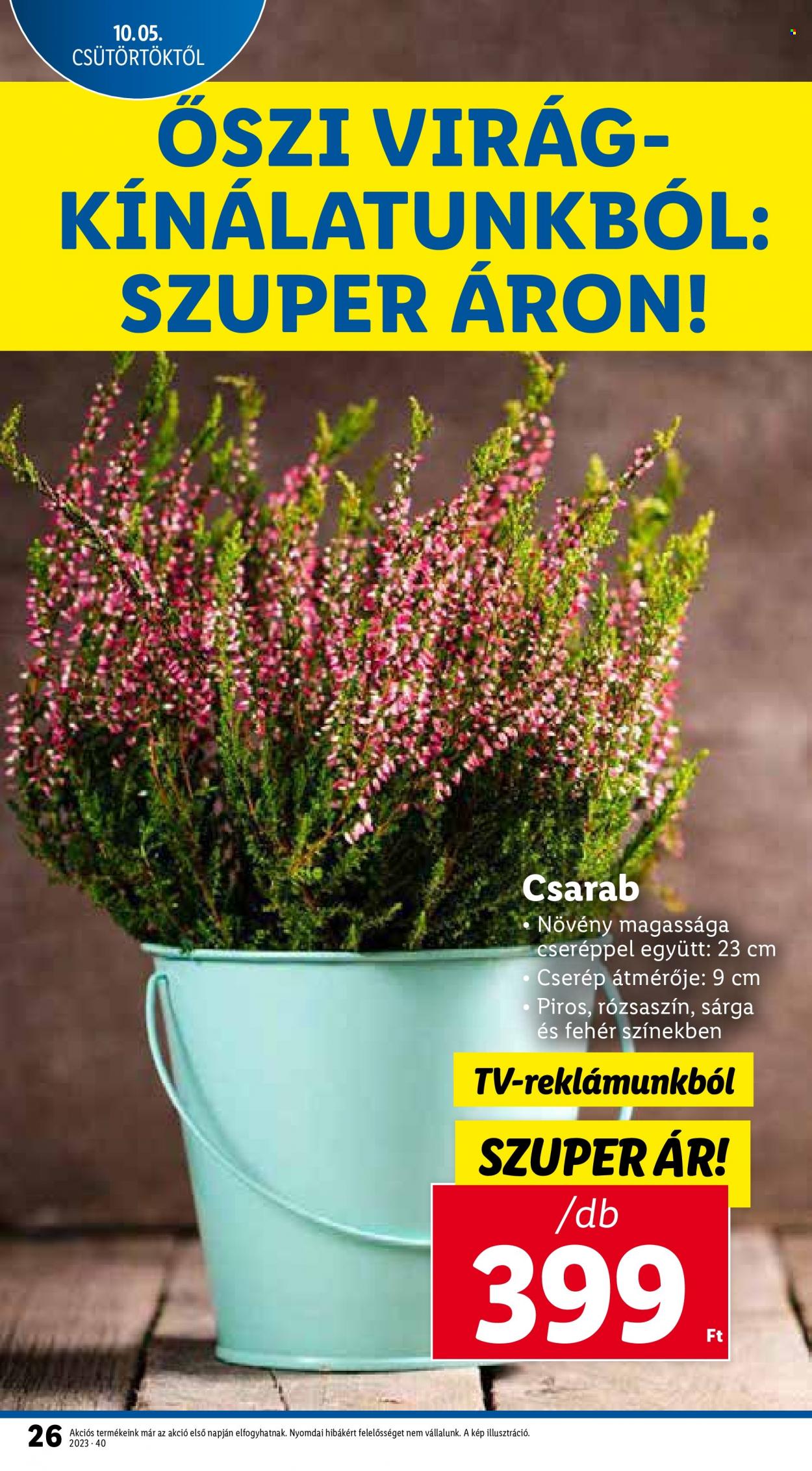 Lidl akciós újságok - 2023.10.05 - 2023.10.11. Oldal 26