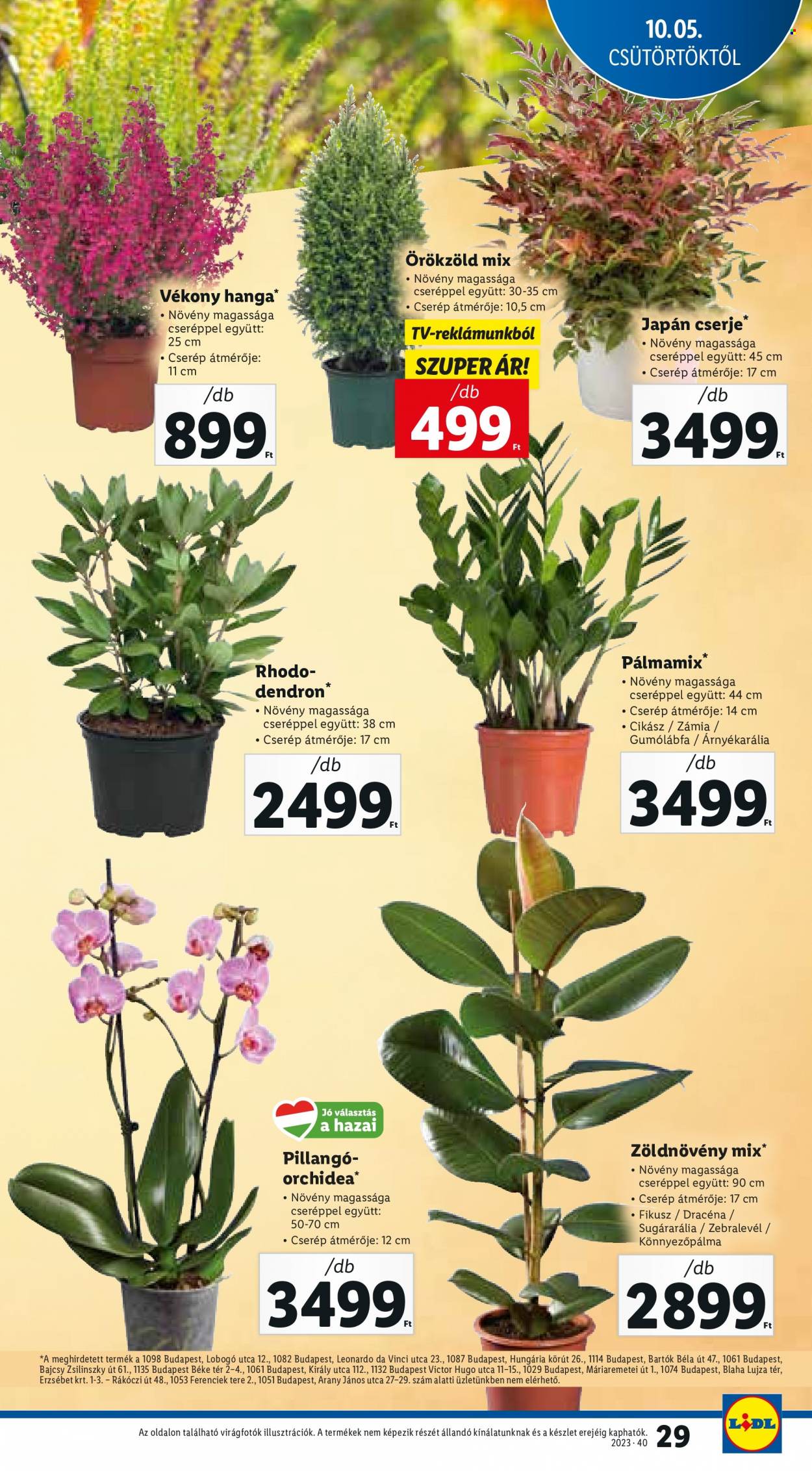 Lidl akciós újságok - 2023.10.05 - 2023.10.11. Oldal 29