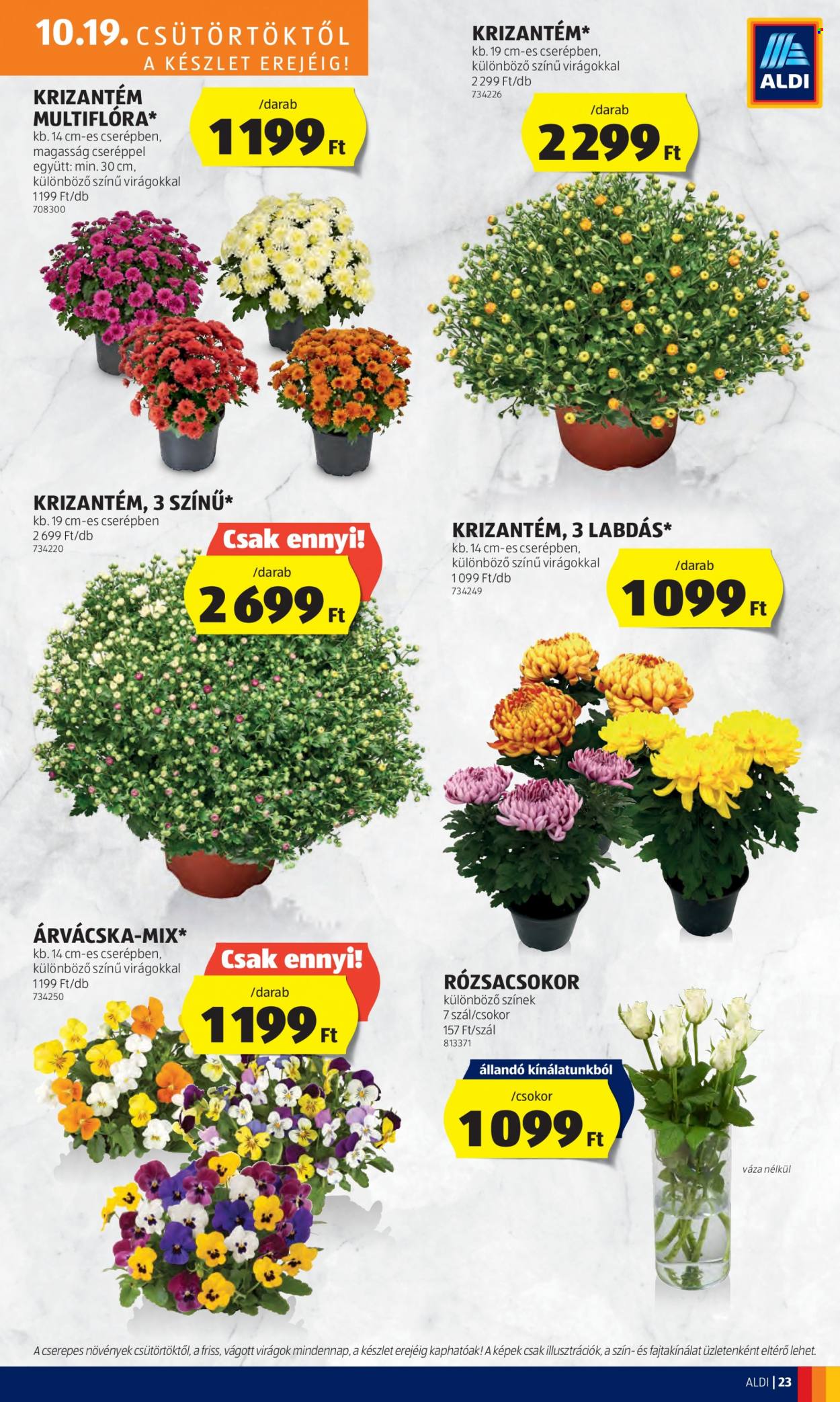Aldi akciós újságok - 2023.10.19 - 2023.10.25. Oldal 25