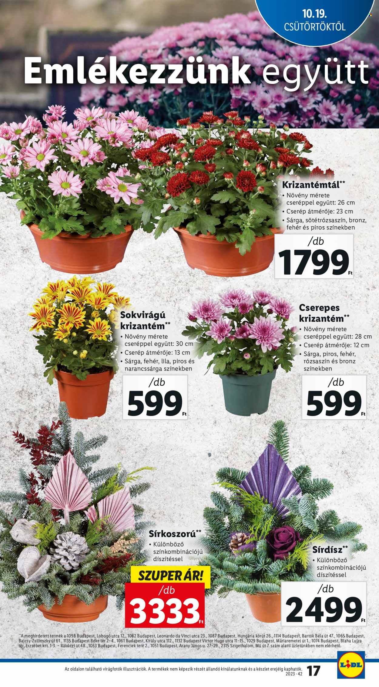 Lidl akciós újságok - 2023.10.19 - 2023.10.25. Oldal 17