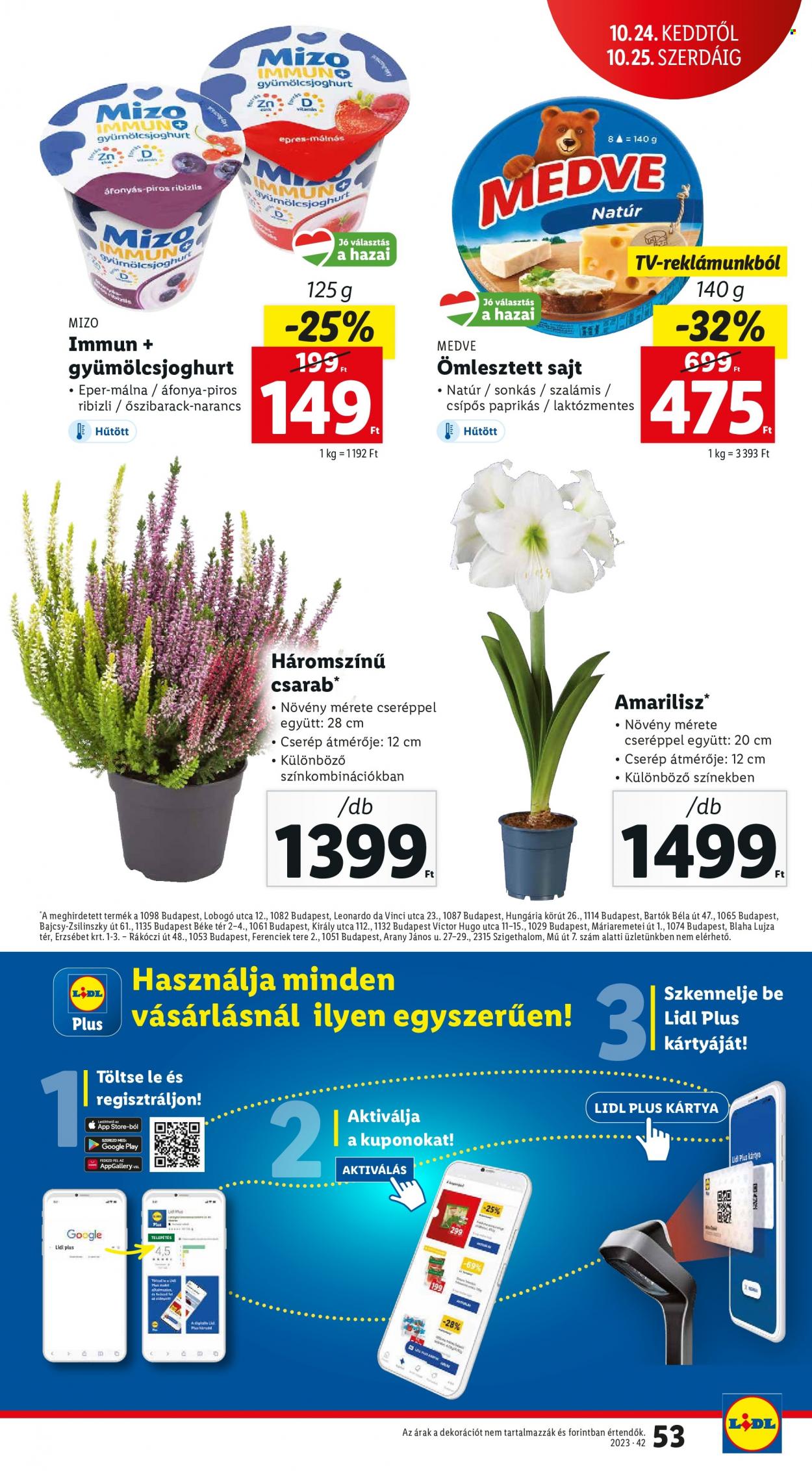 Lidl akciós újságok - 2023.10.19 - 2023.10.25. Oldal 53