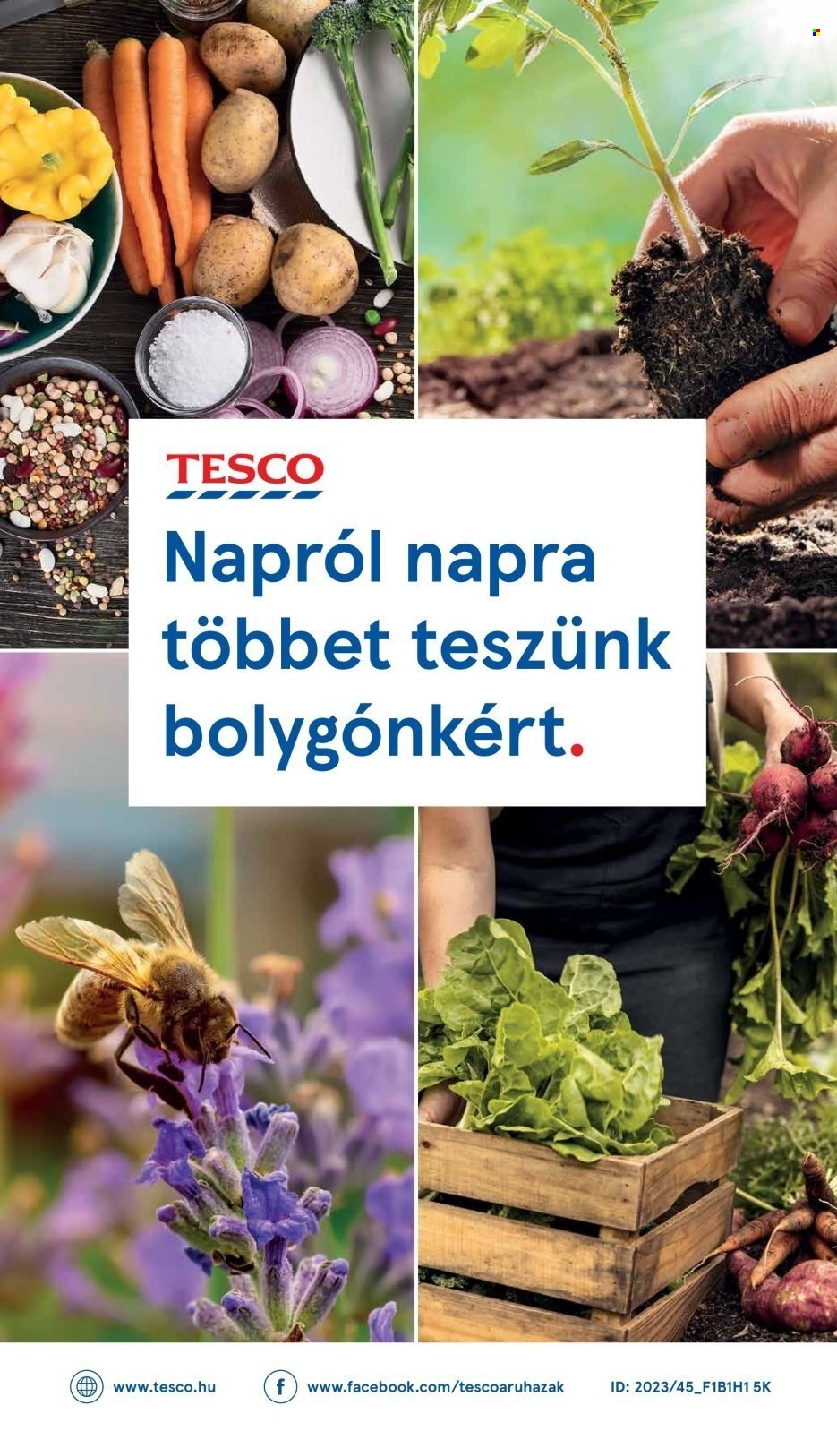 TESCO akciós újságok - 2024.01.04 - 2024.01.10. Oldal 44