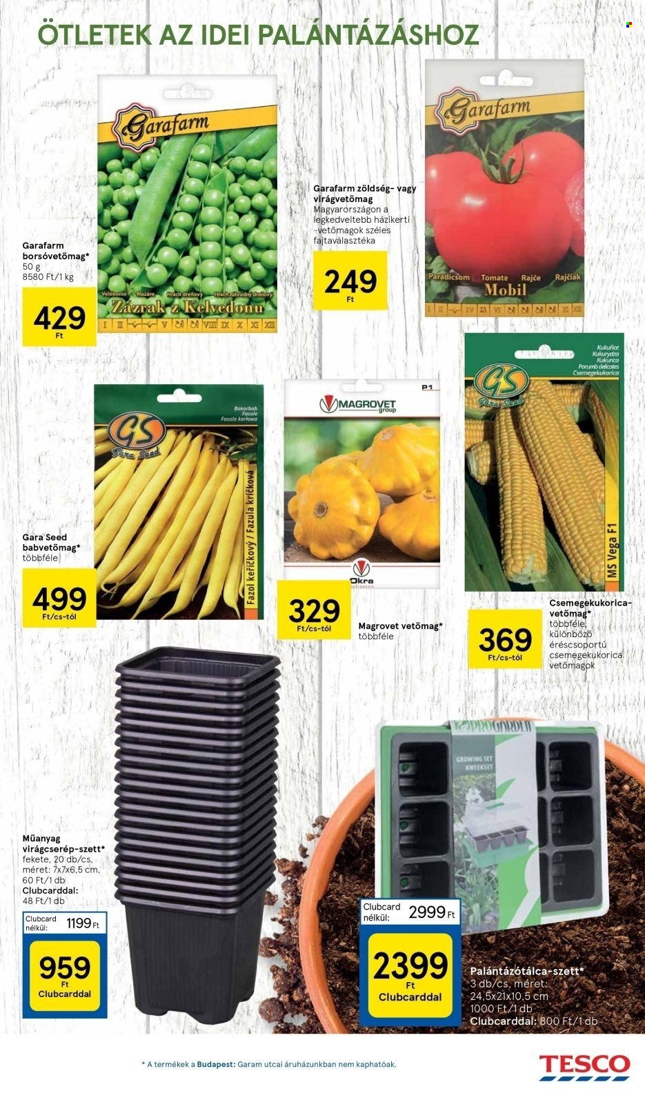 TESCO akciós újságok - 2024.01.11 - 2024.01.17. Oldal 43