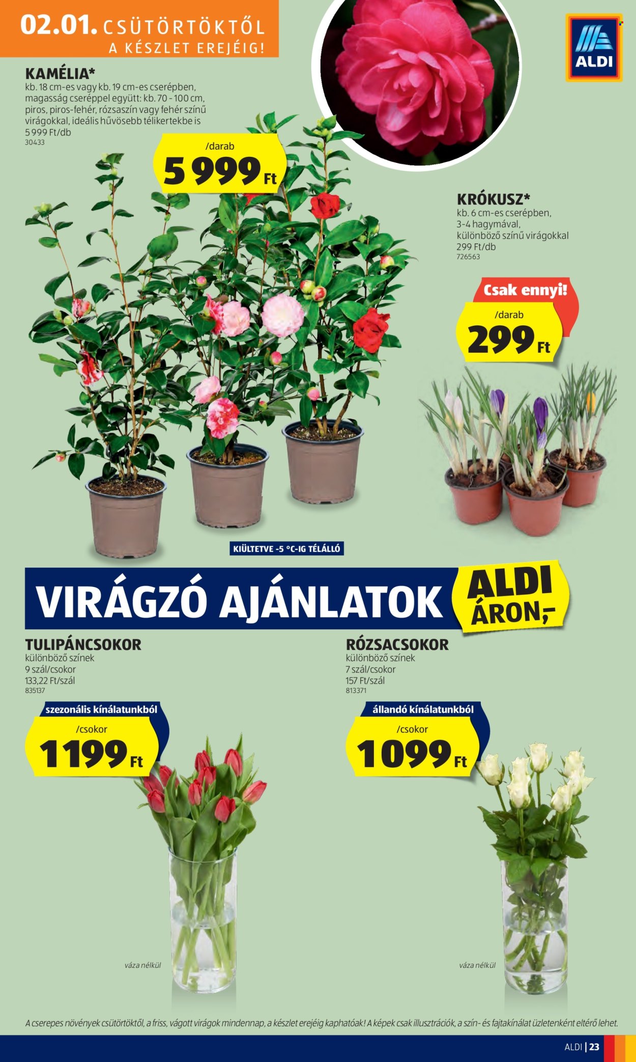 Aldi akciós újságok - 2024.02.01 - 2024.02.07. Oldal 25