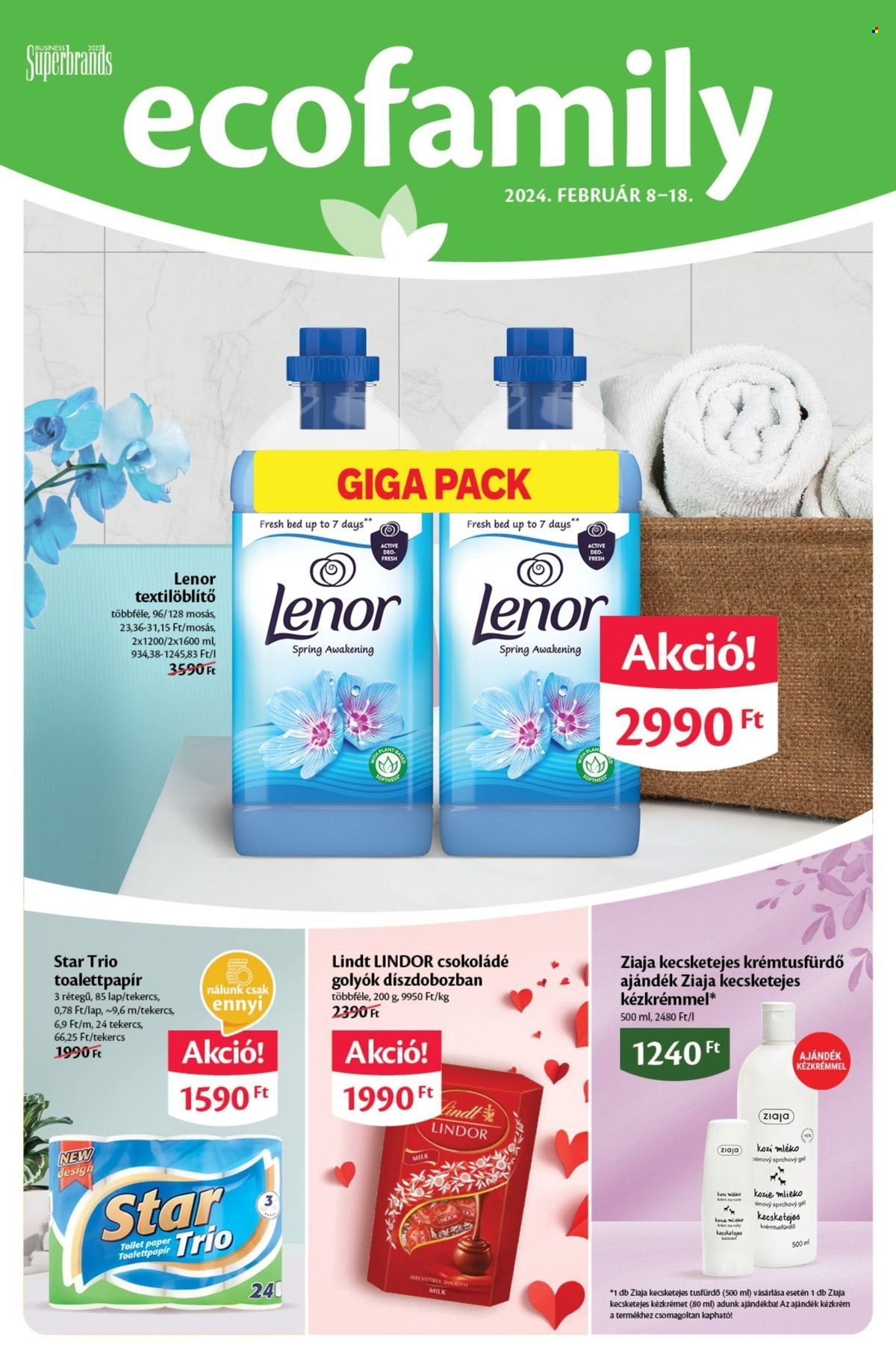 EcoFamily akciós újságok - 2024.02.08 - 2024.02.18. Oldal 1