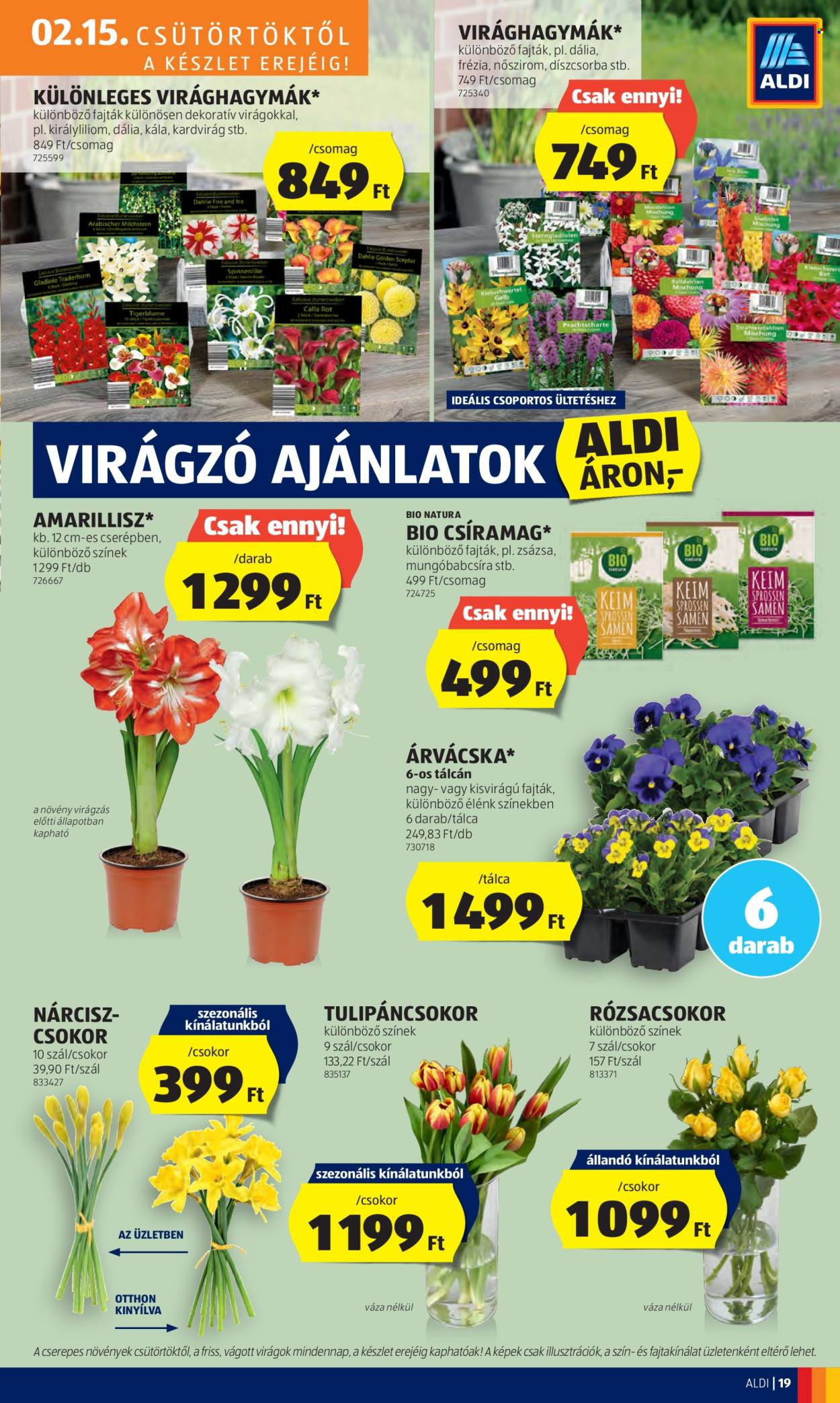 Aldi akciós újságok - 2024.02.15 - 2024.02.21. Oldal 23