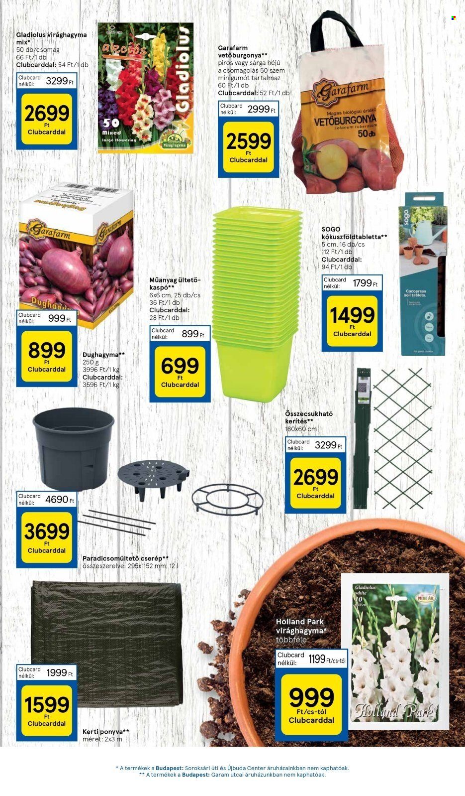 TESCO akciós újságok - 2024.02.15 - 2024.02.21. Oldal 11