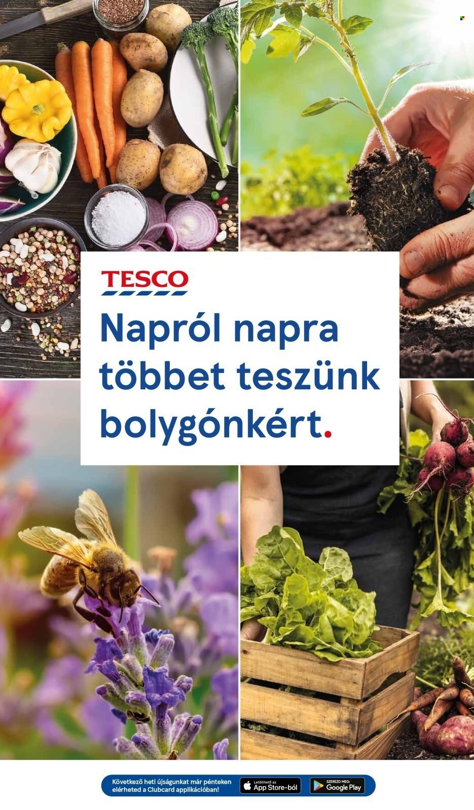 TESCO akciós újságok - 2024.02.22 - 2024.02.28. Oldal 25