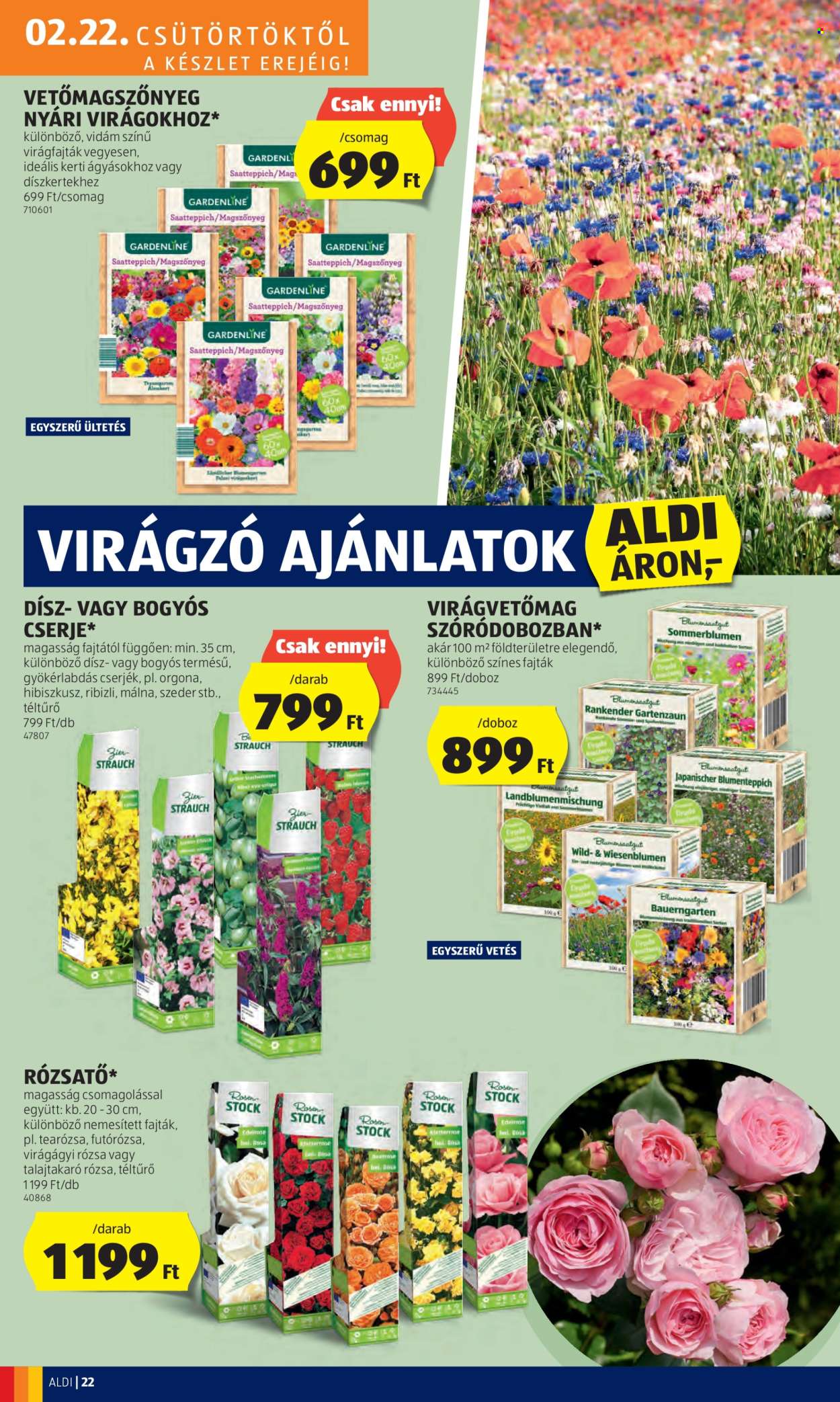 Aldi akciós újságok - 2024.02.22 - 2024.02.28. Oldal 24